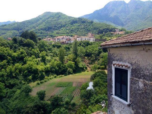 Casa Vacanze Casa Ida