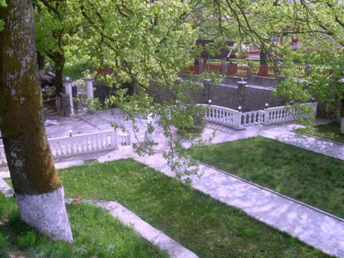 Photo 31