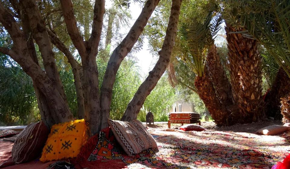 Photo 43