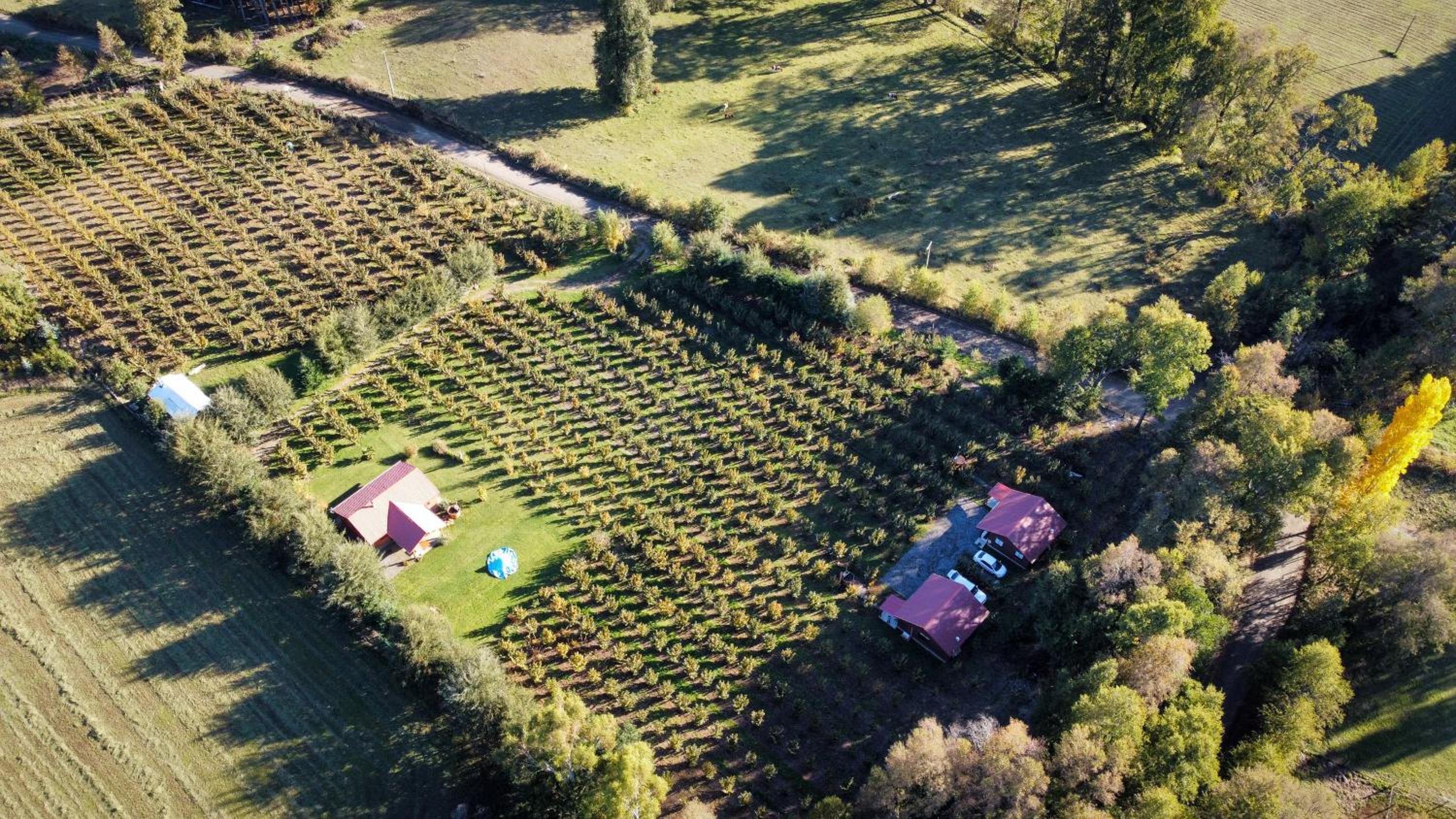 Entreavellanos cabañas
