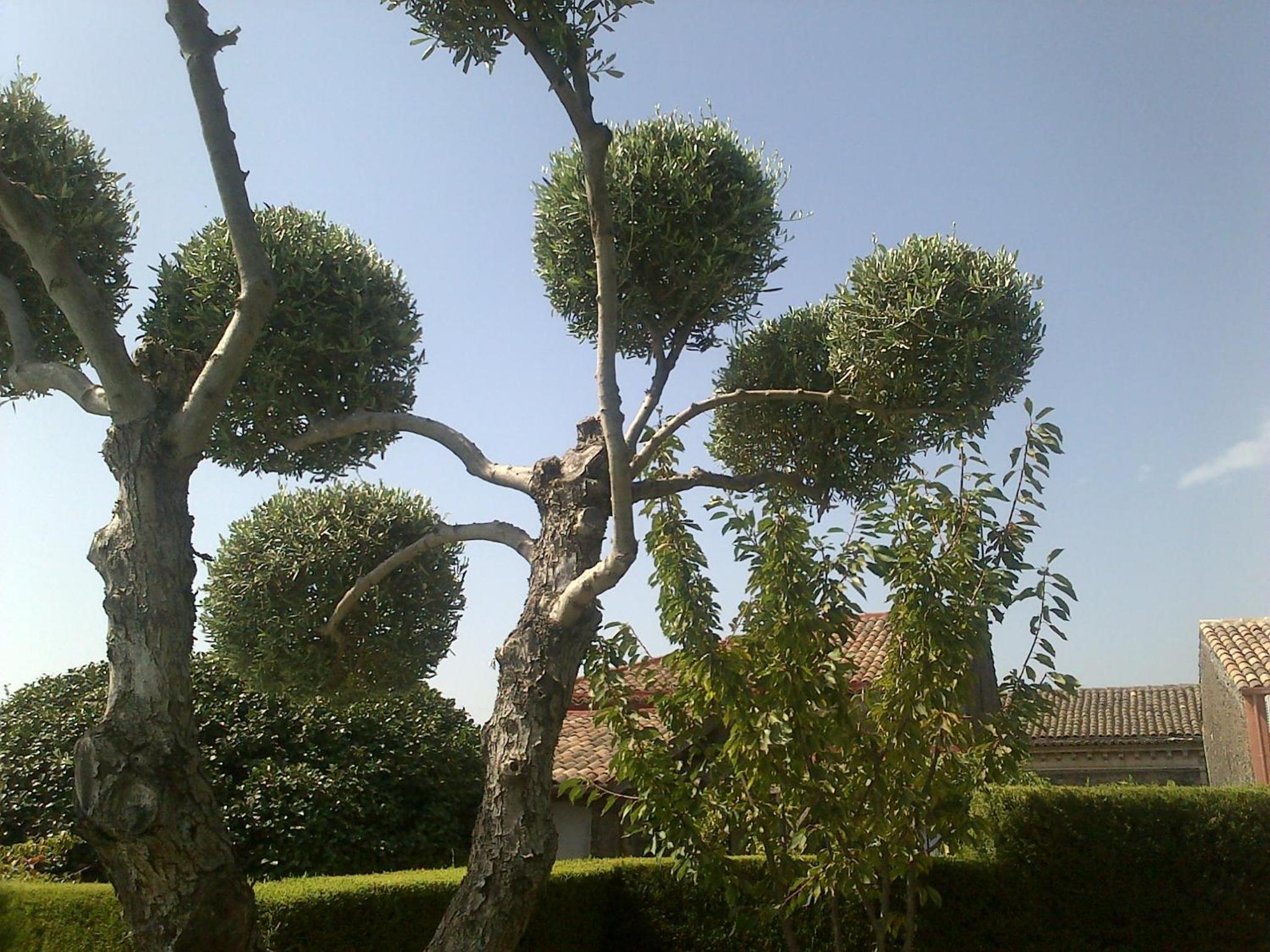 Photo 17