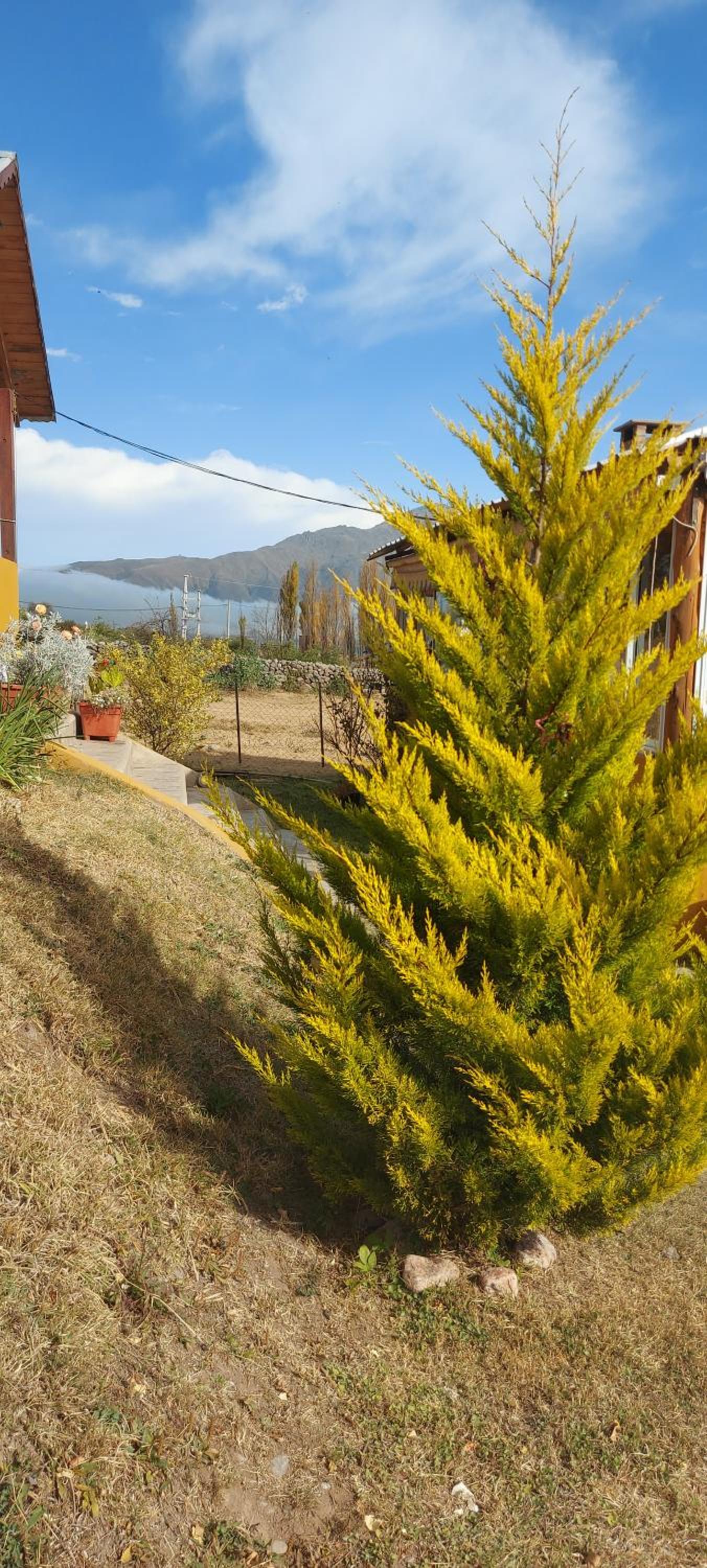Aires de Tafi