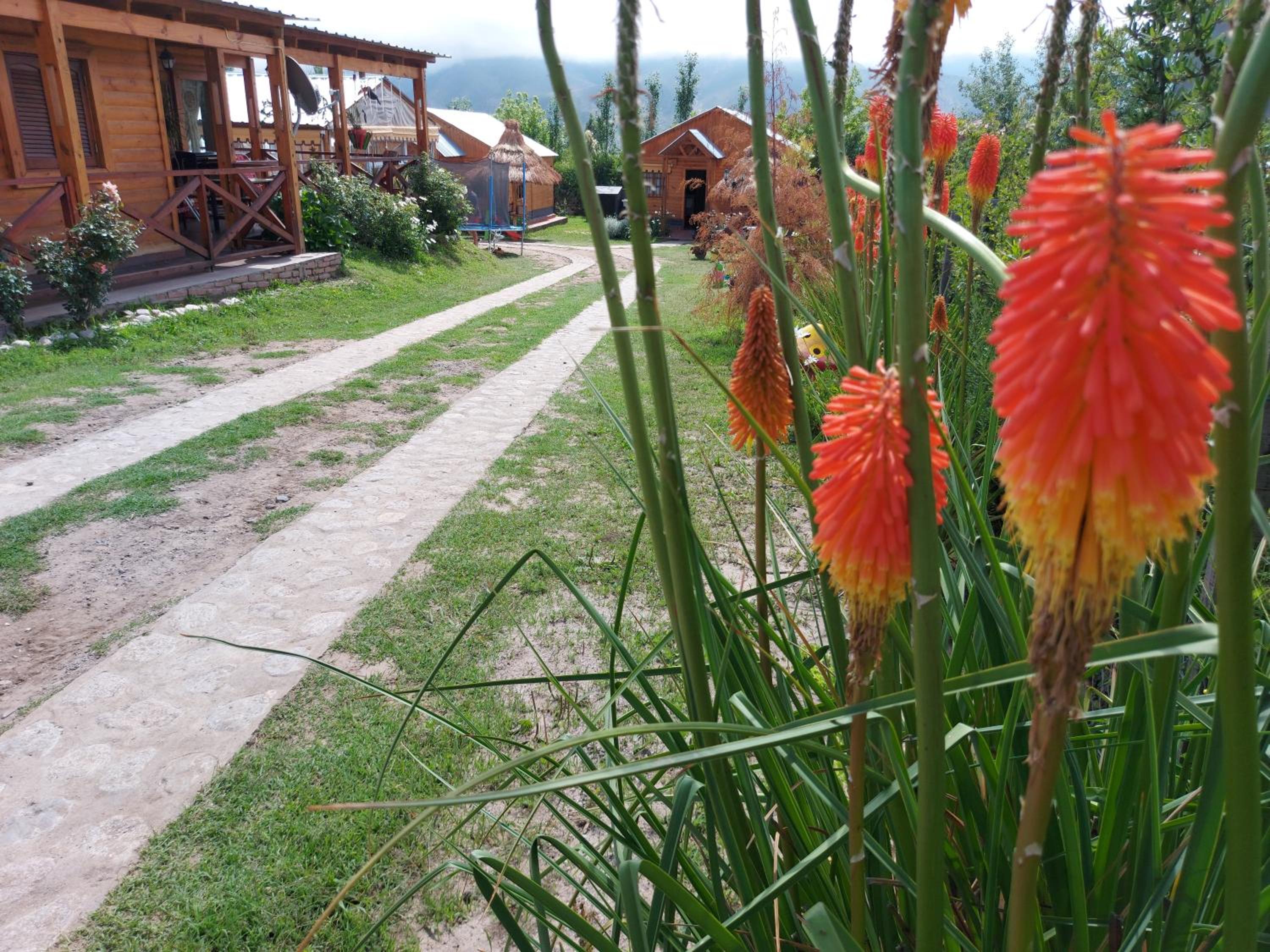 Aires de Tafi