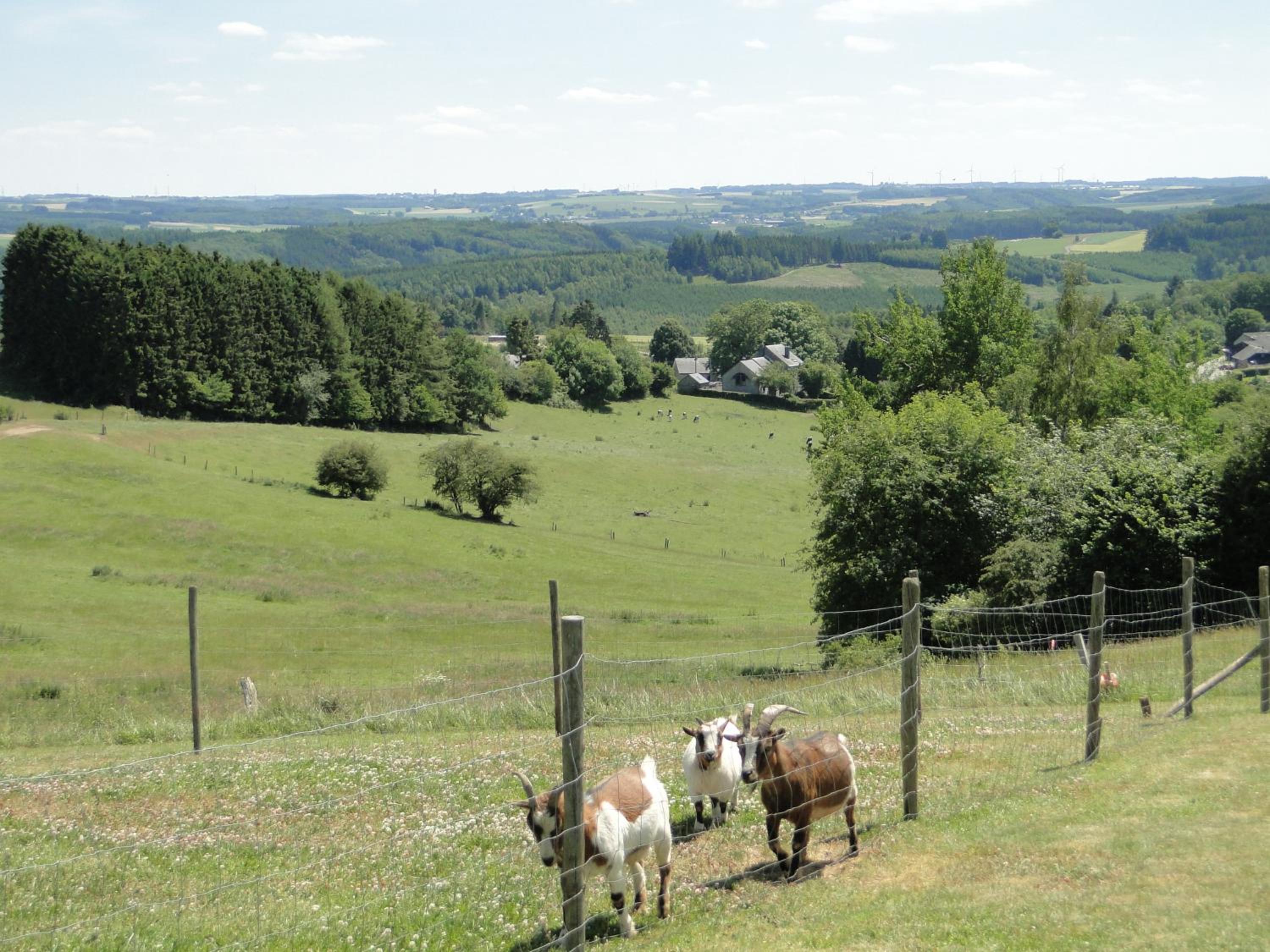 Holiday Home A Pas de Loup