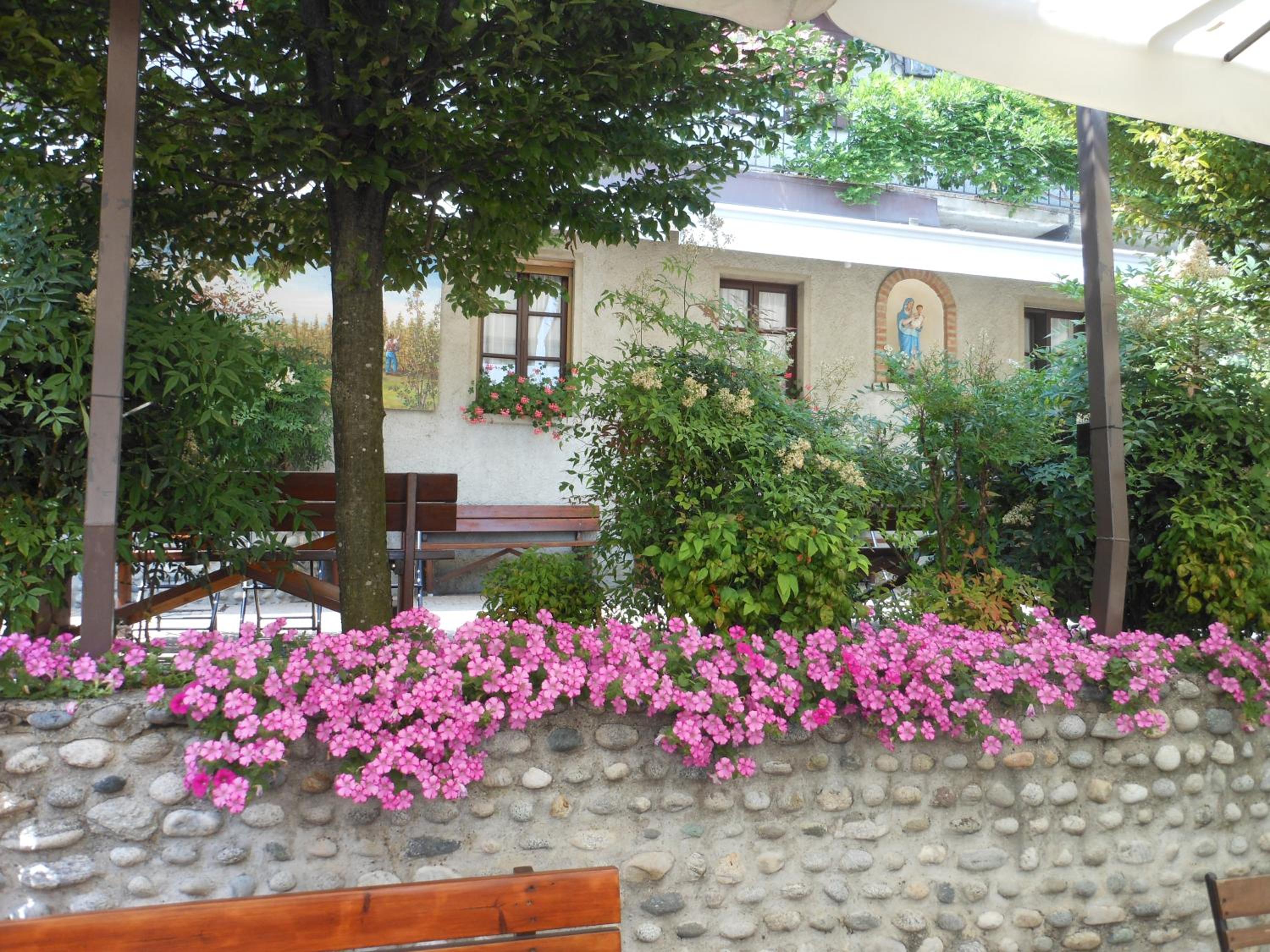 Photo 29