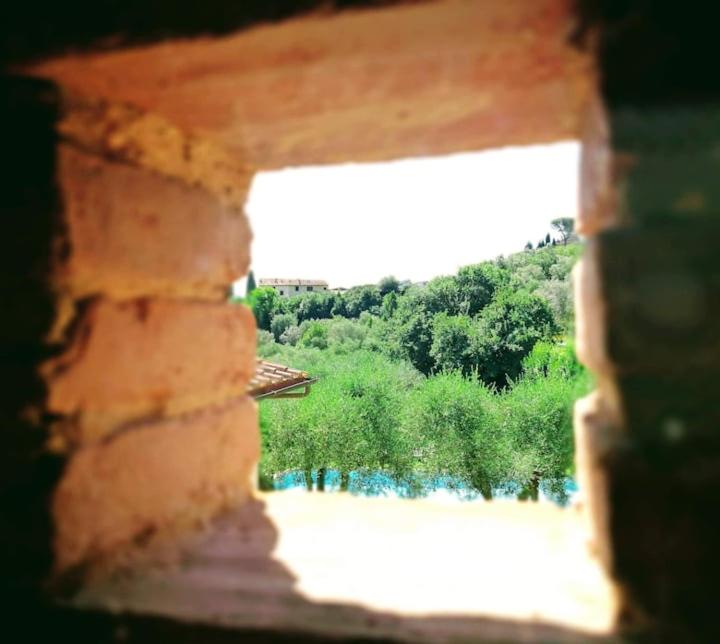 Villa Cipresso 2, photo 11