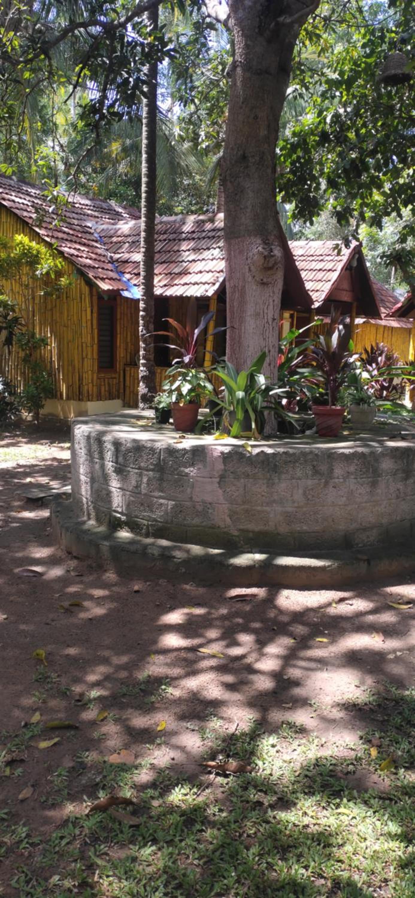 Photo 36