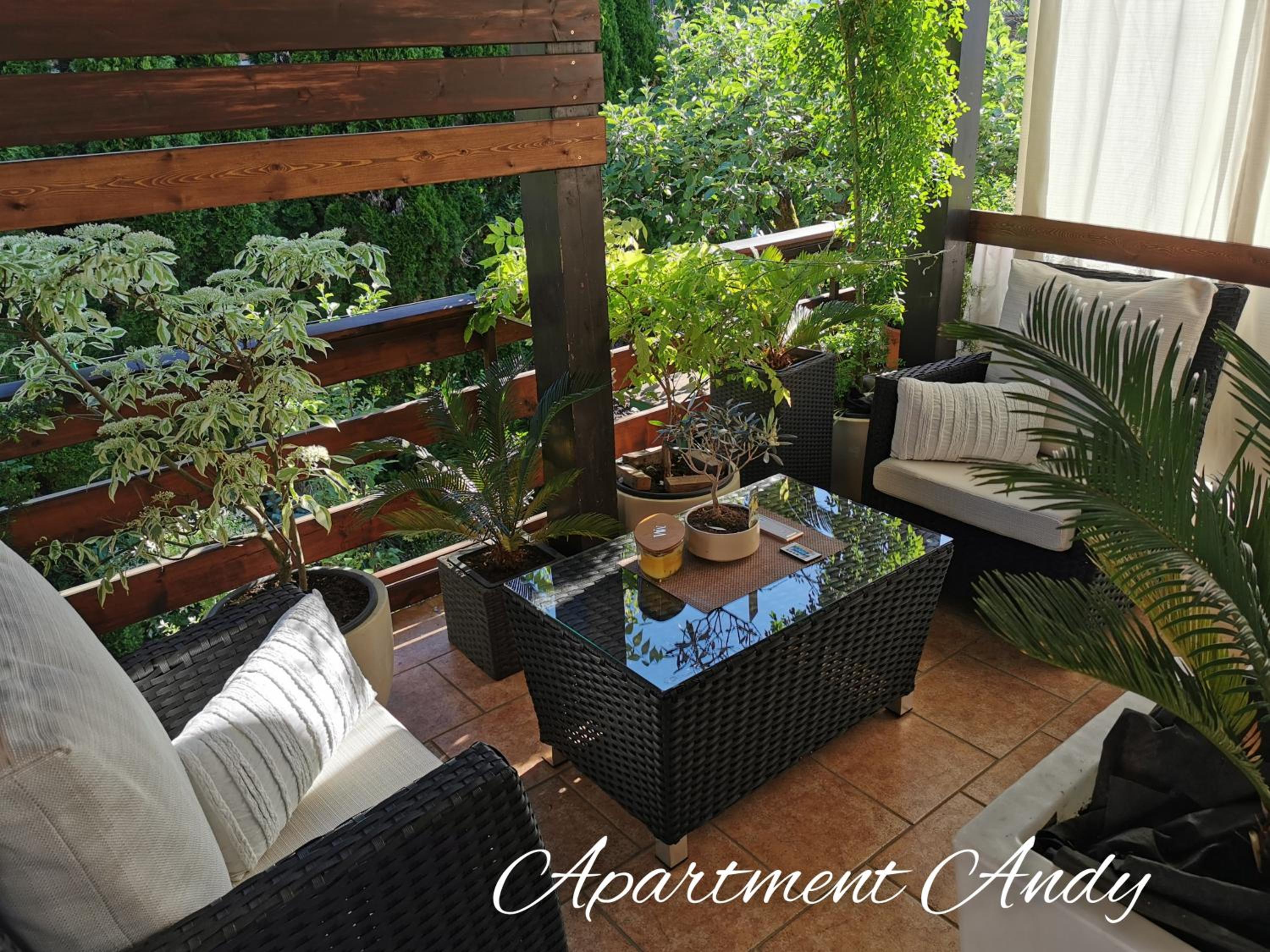Apartment Andy