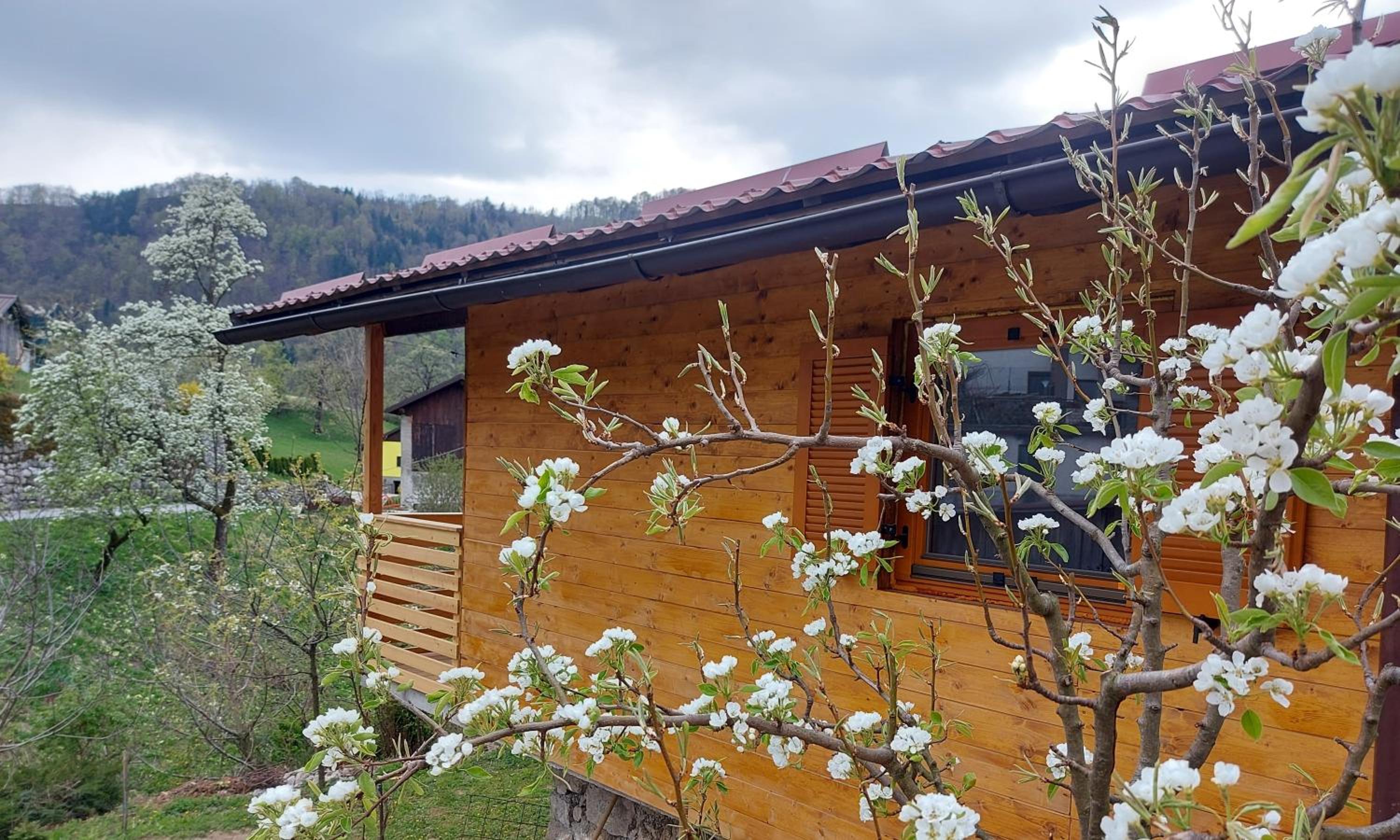 Apartma Mataj view 2