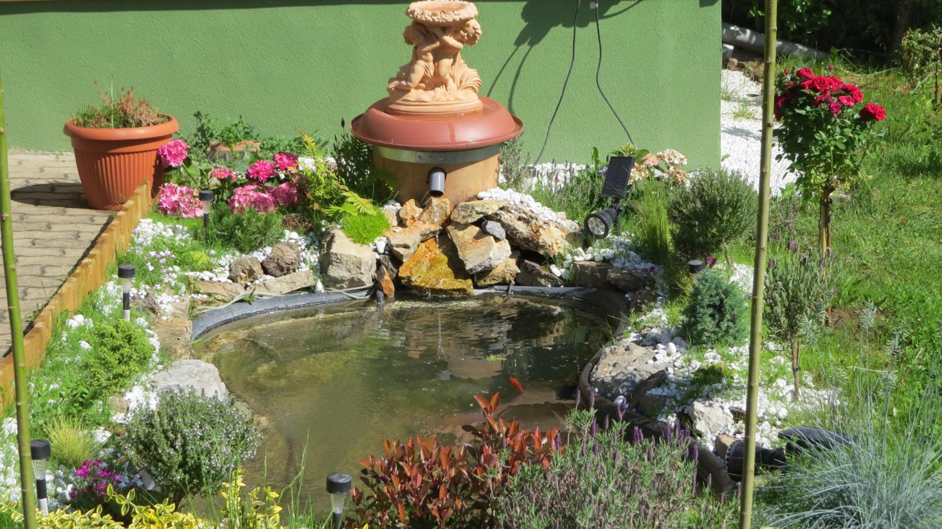 Hőforrás Wellness Vendégház view 5