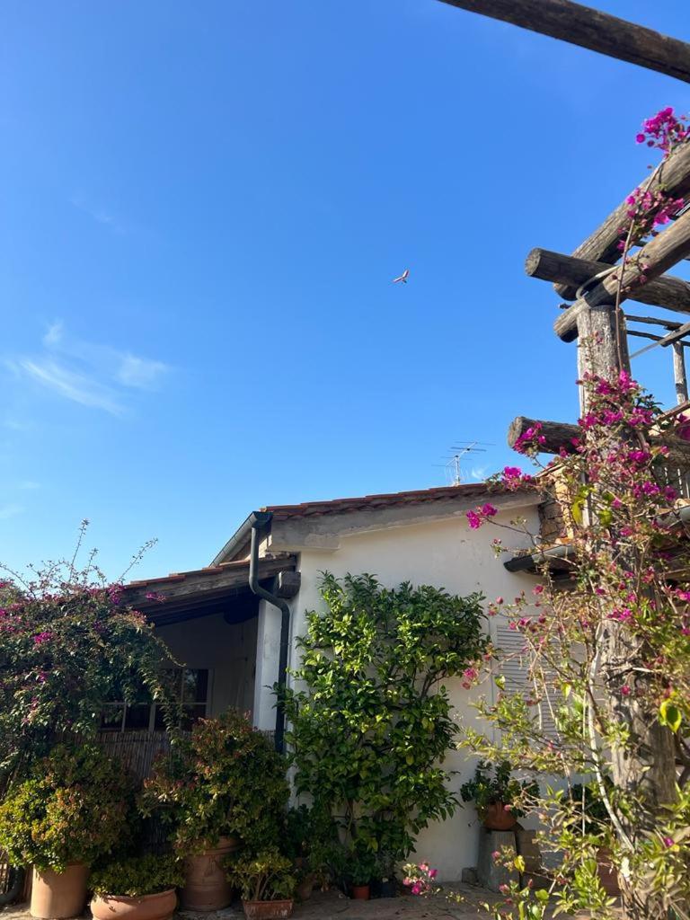 Agriturismo Baratti