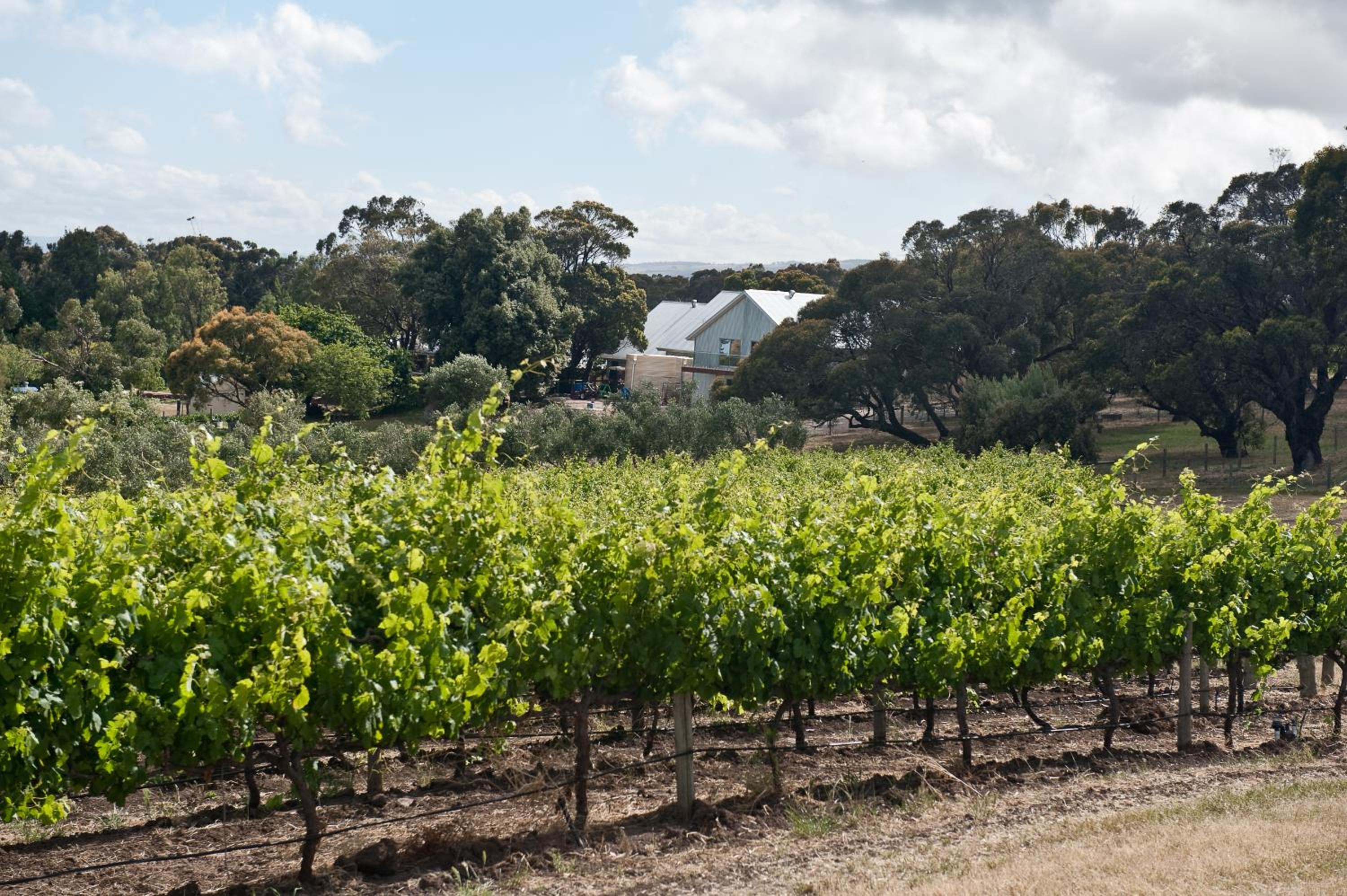 The Farm Willunga