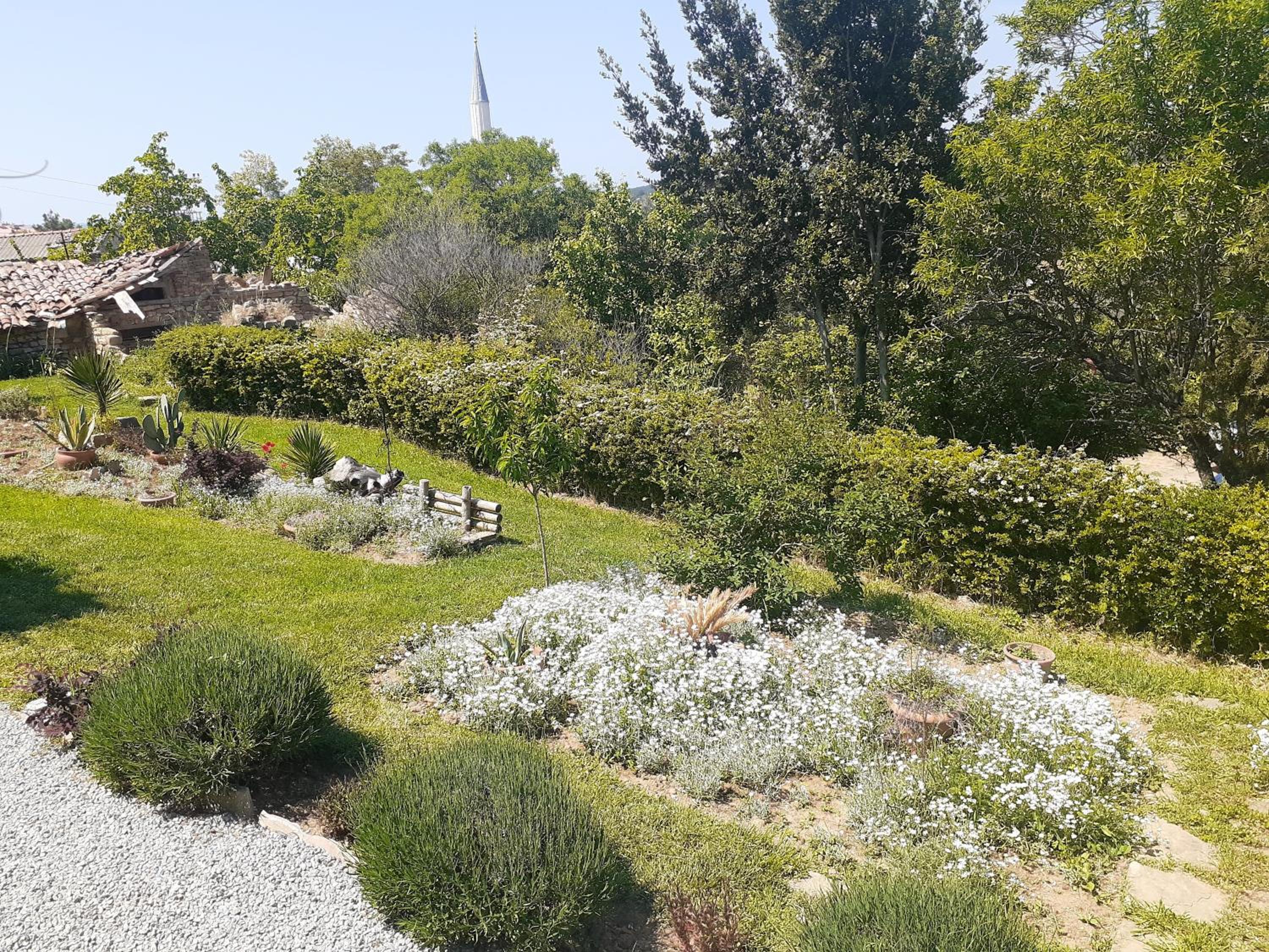 Photo 8