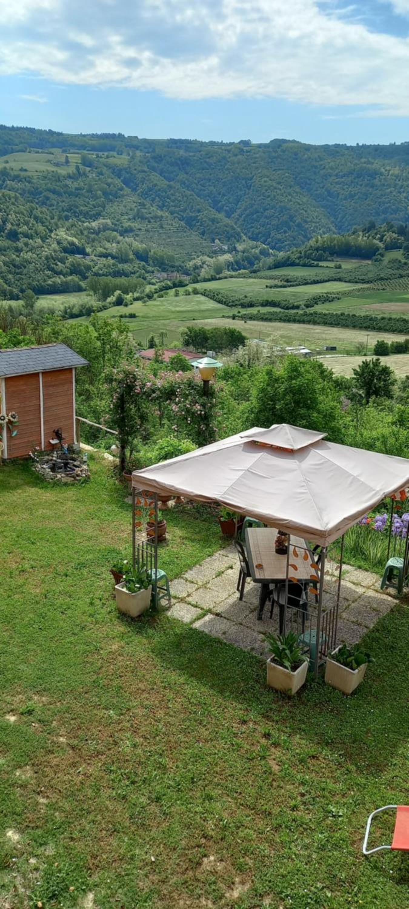 Photo 44