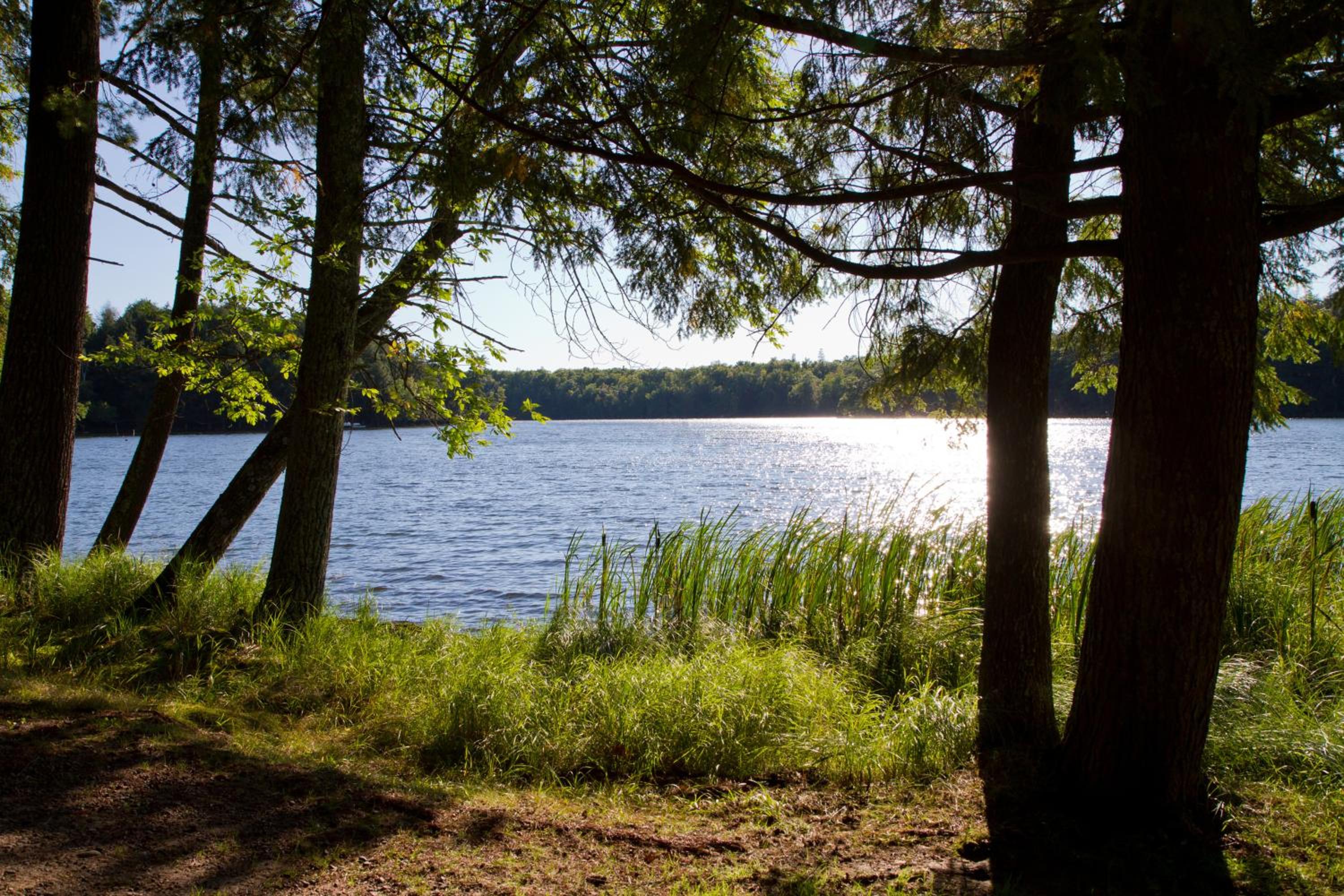 Ferienwohnung Am Weltnaturerbe Grumsin view 4