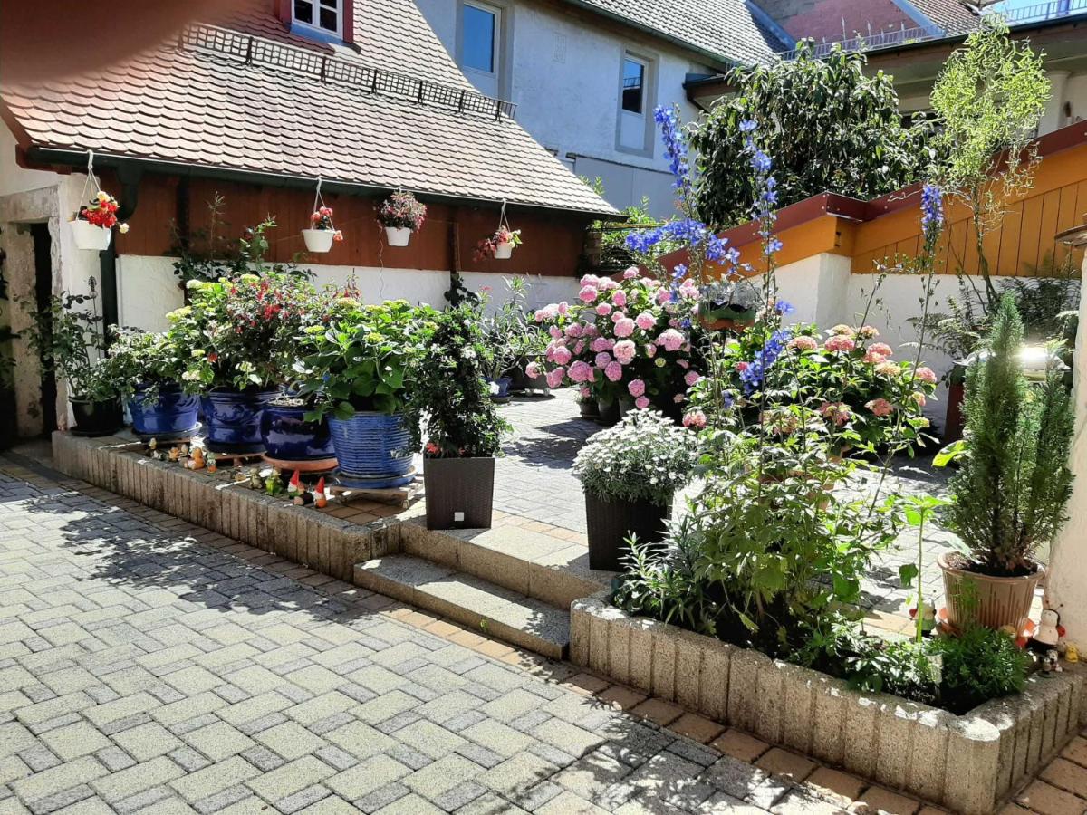 Ferienhauschen Rosi Brehm - Property Image 1