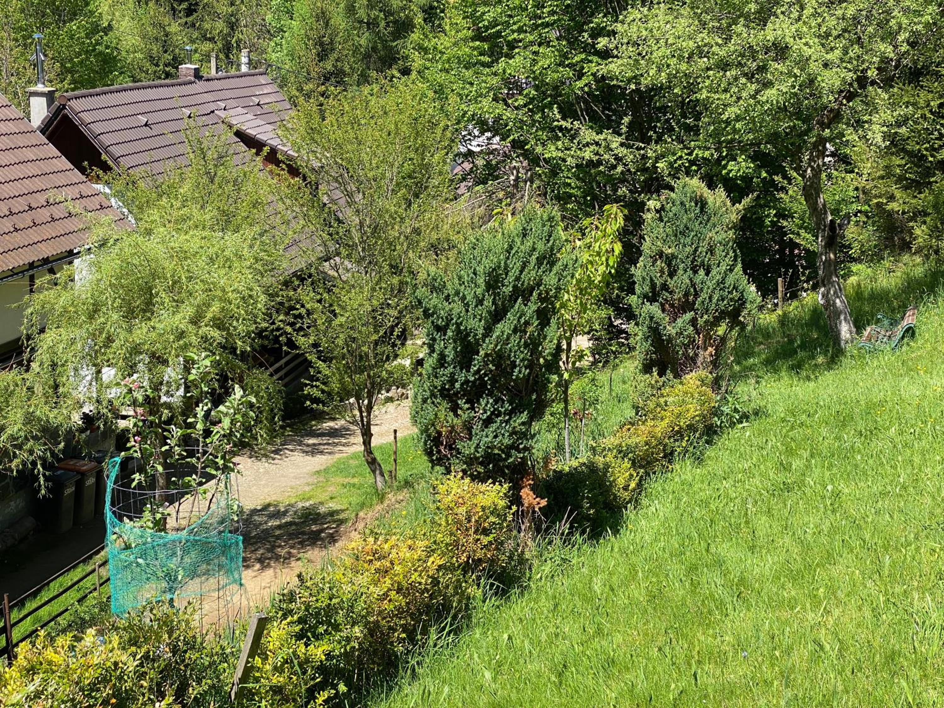 Photo 16