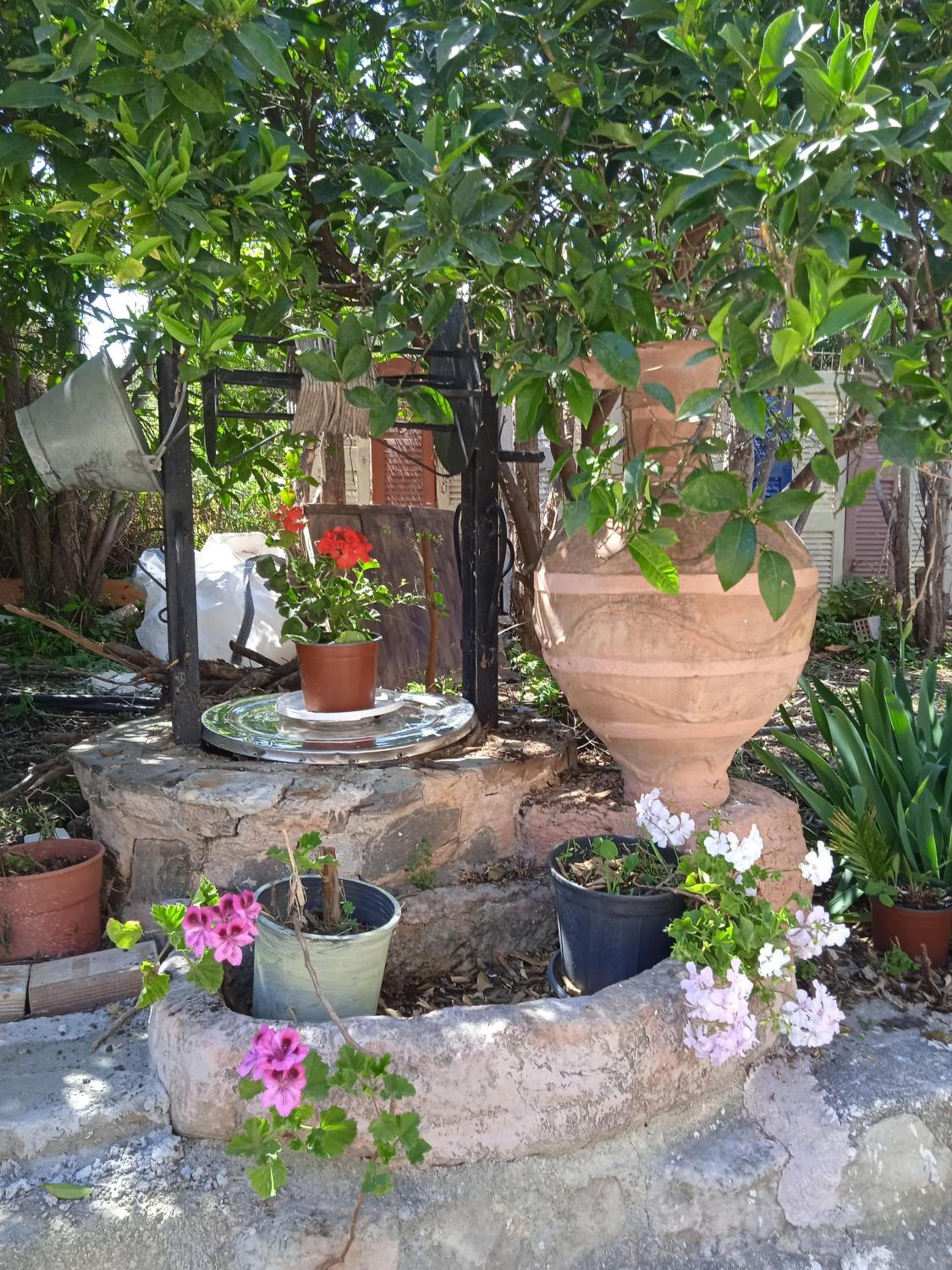 Photo 15