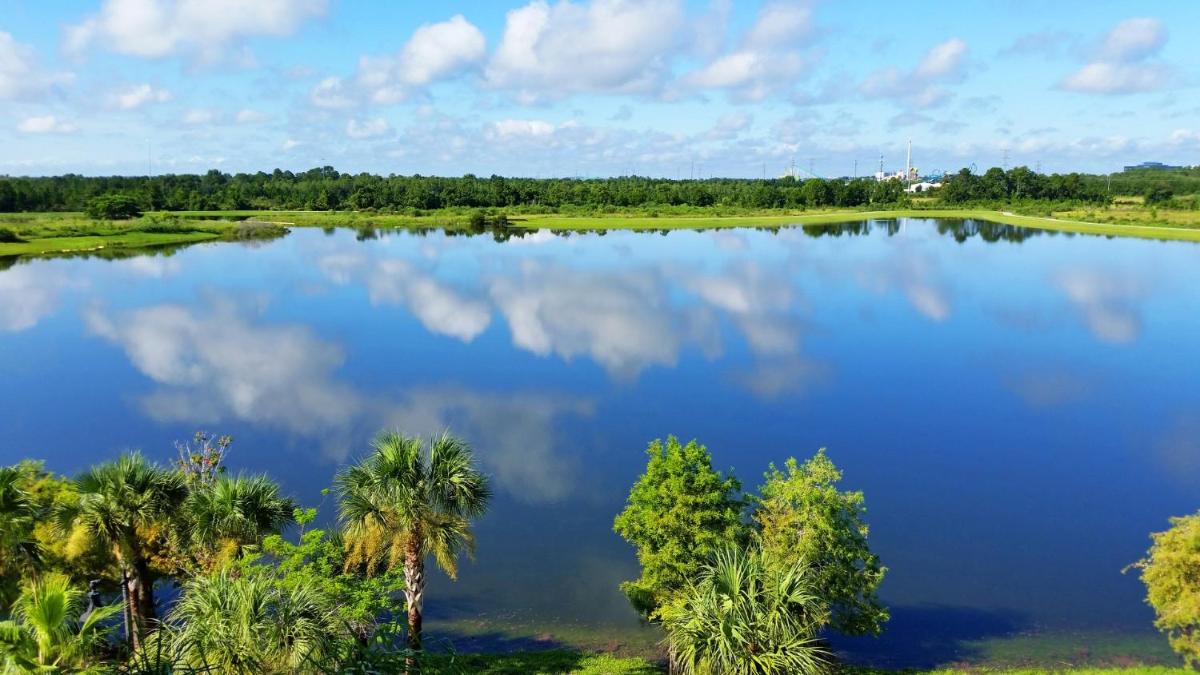 Spectacular Lakeview Condo, near WDW & Universal