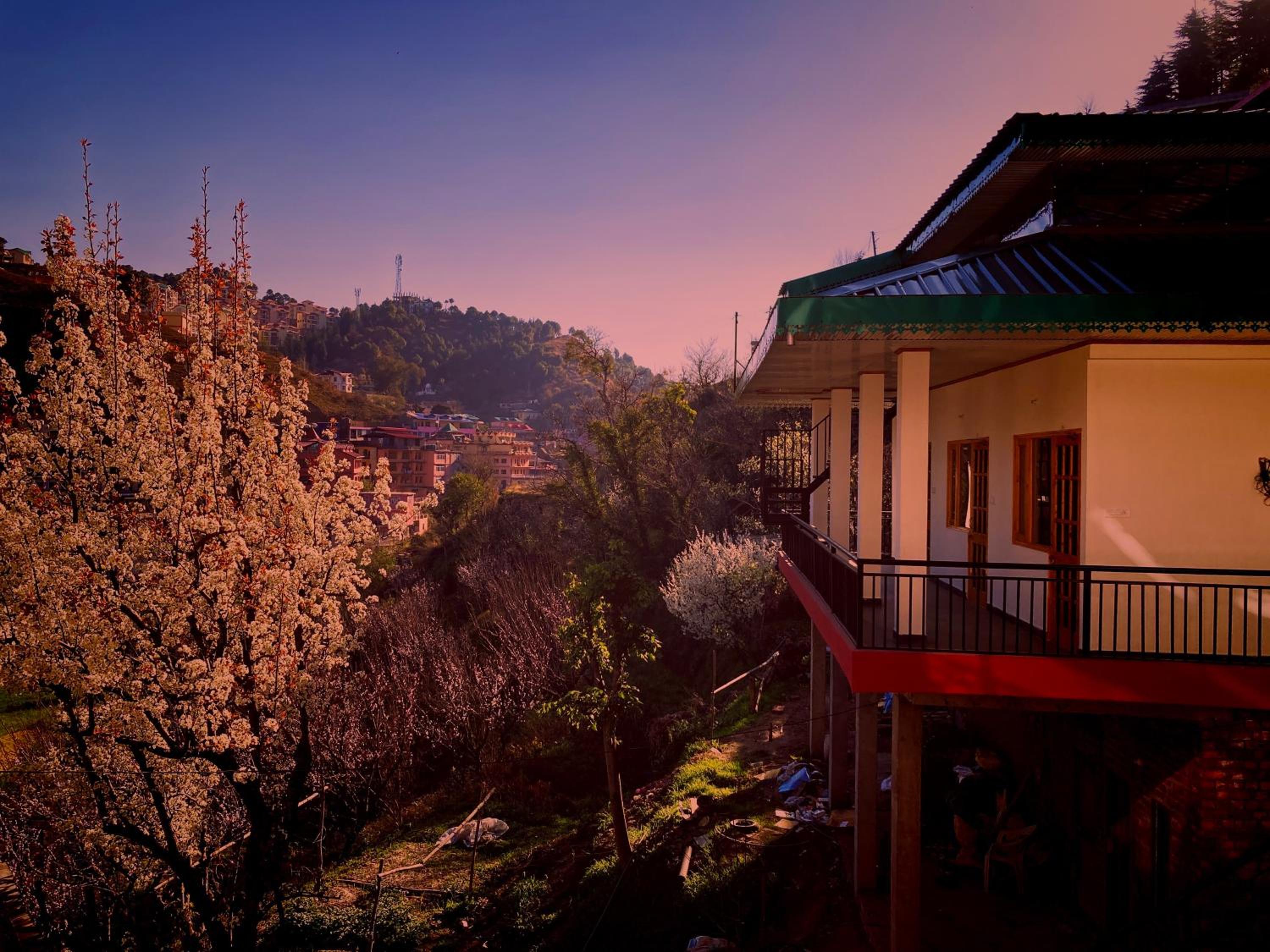 Orchid Homestay view 4