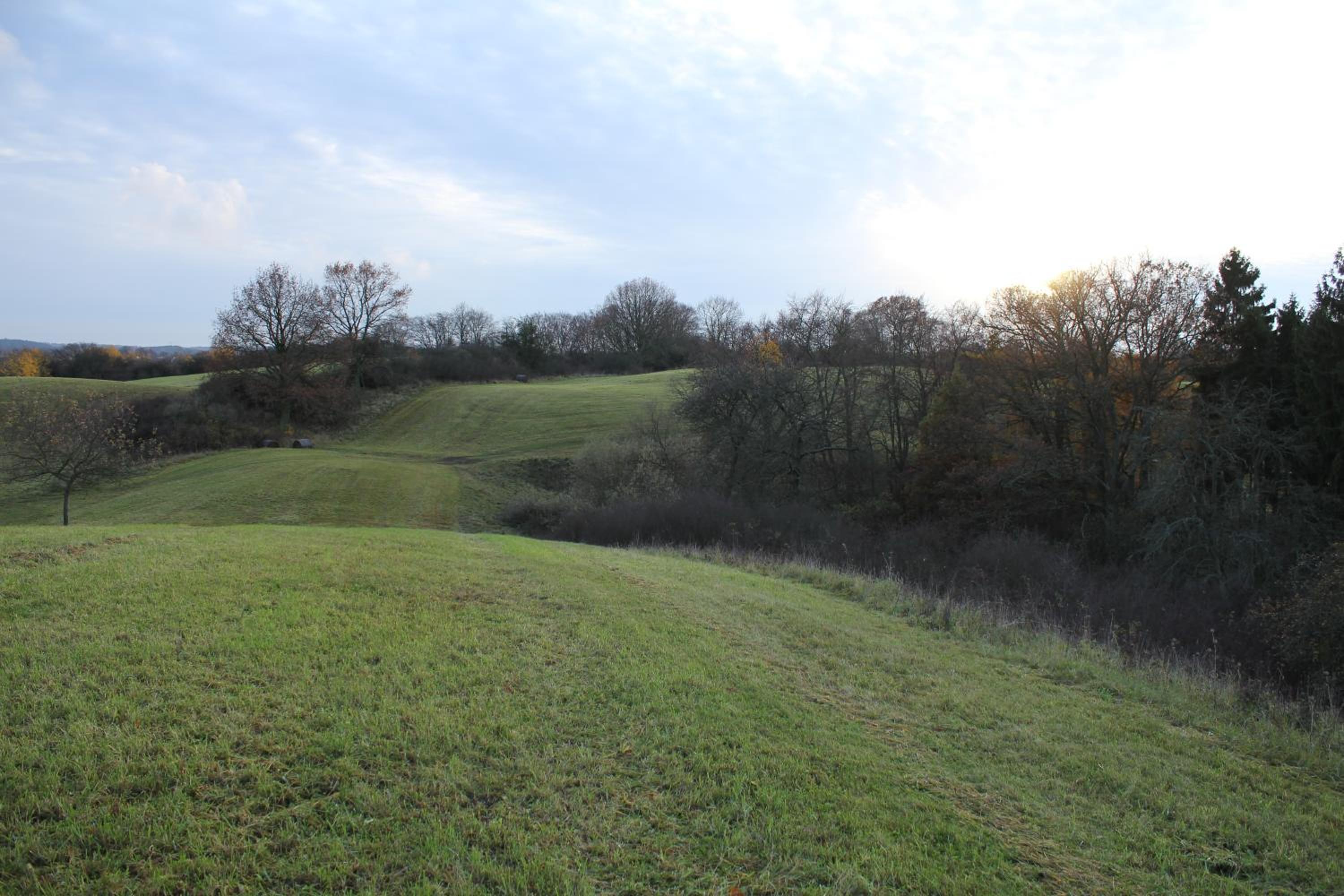 Ferienwohnung Am Weltnaturerbe Grumsin view 2