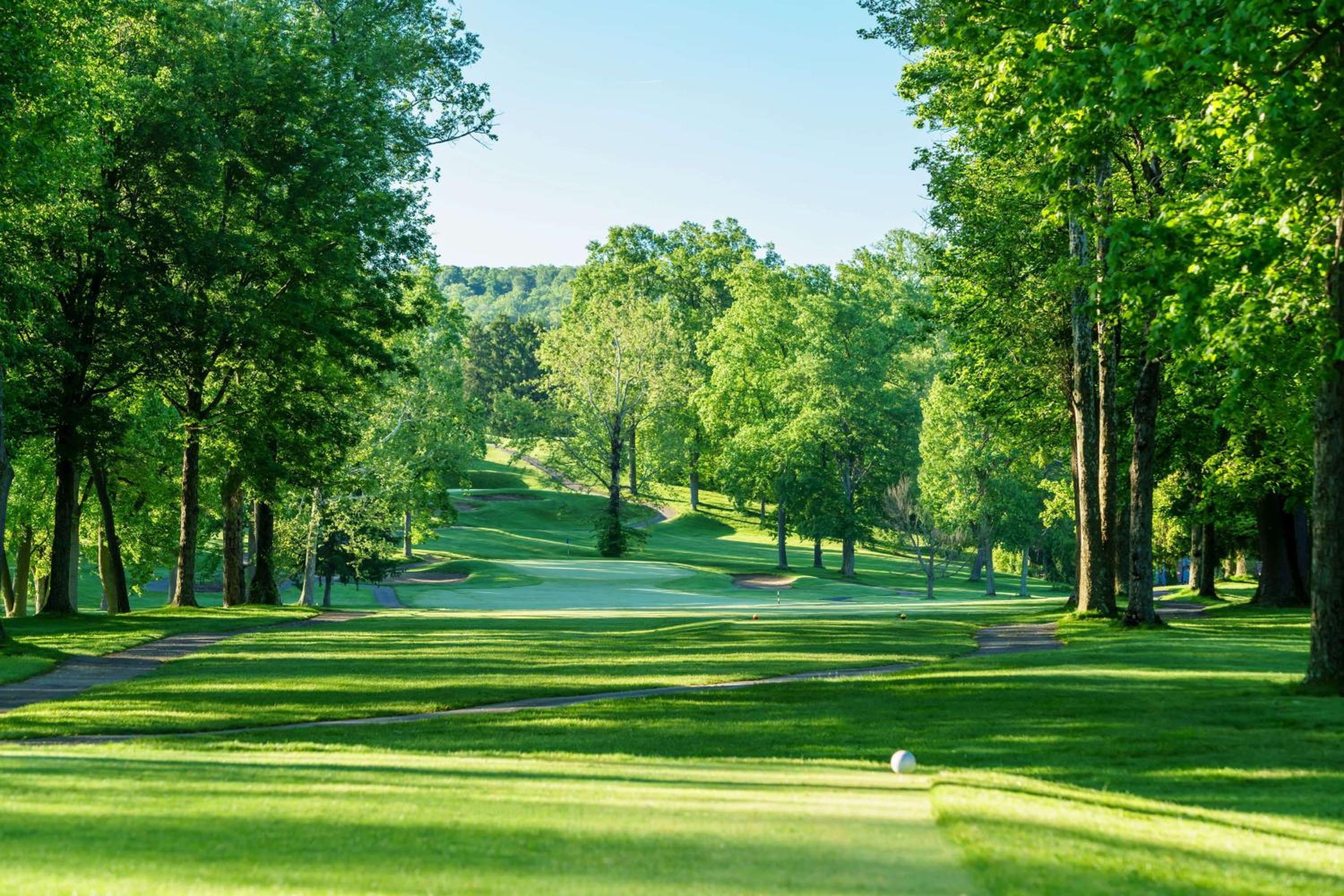 Lakeview Golf Resort view 3