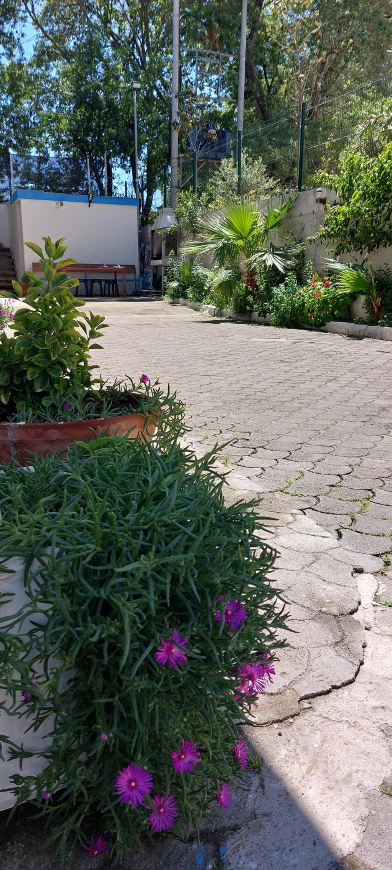 Rooms and Apartments Analipsi