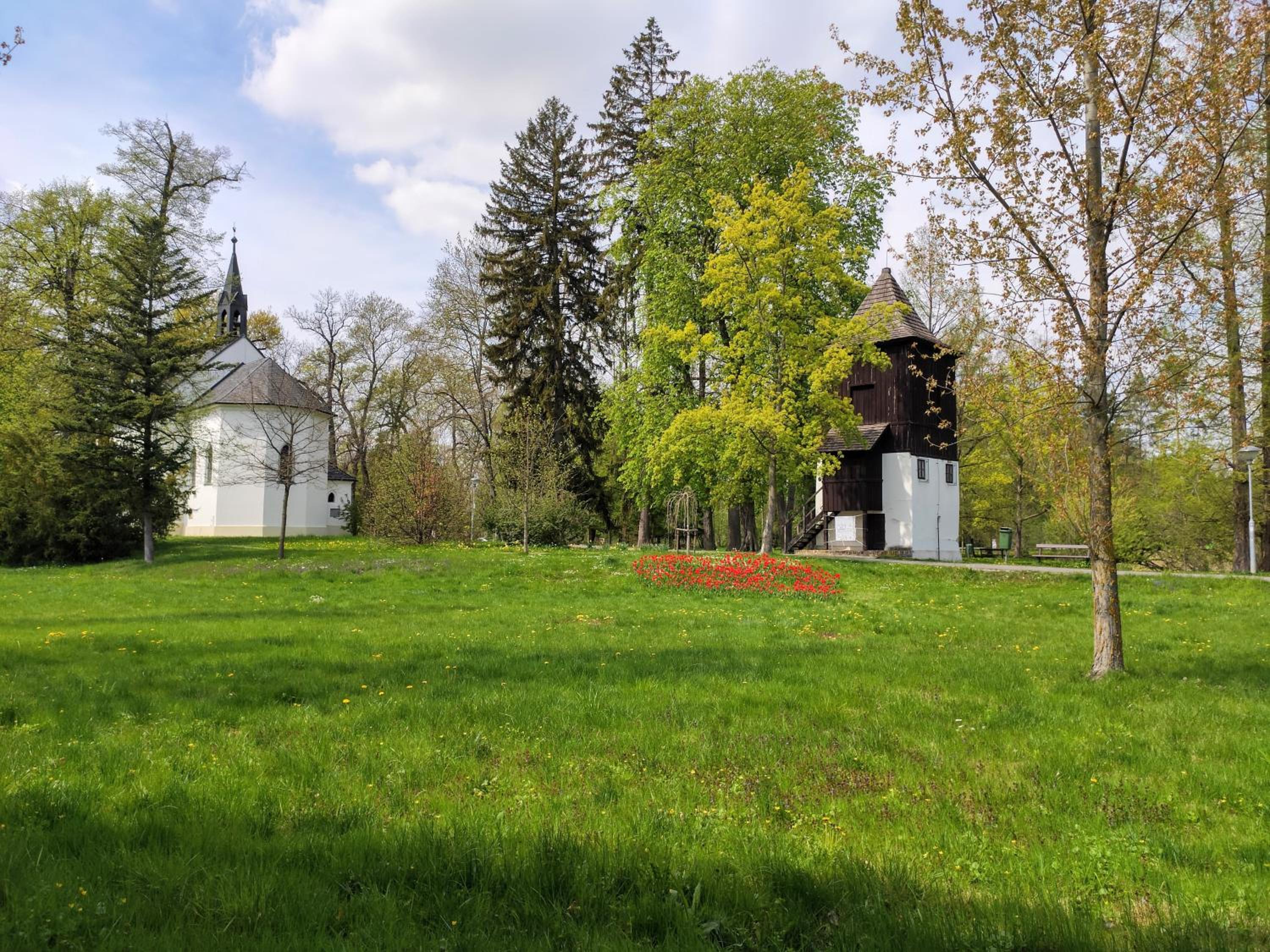 Photo 23