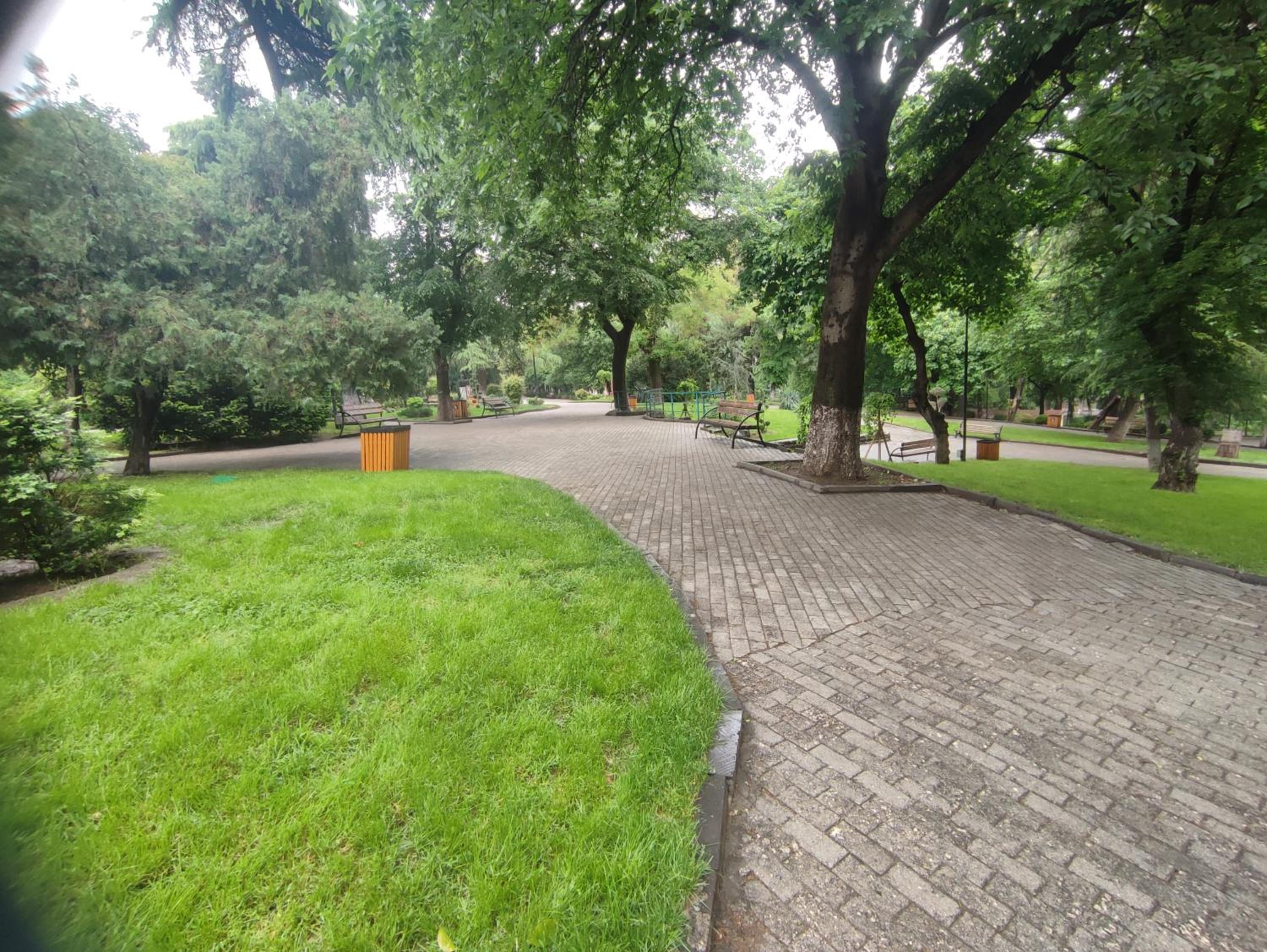 Photo 37