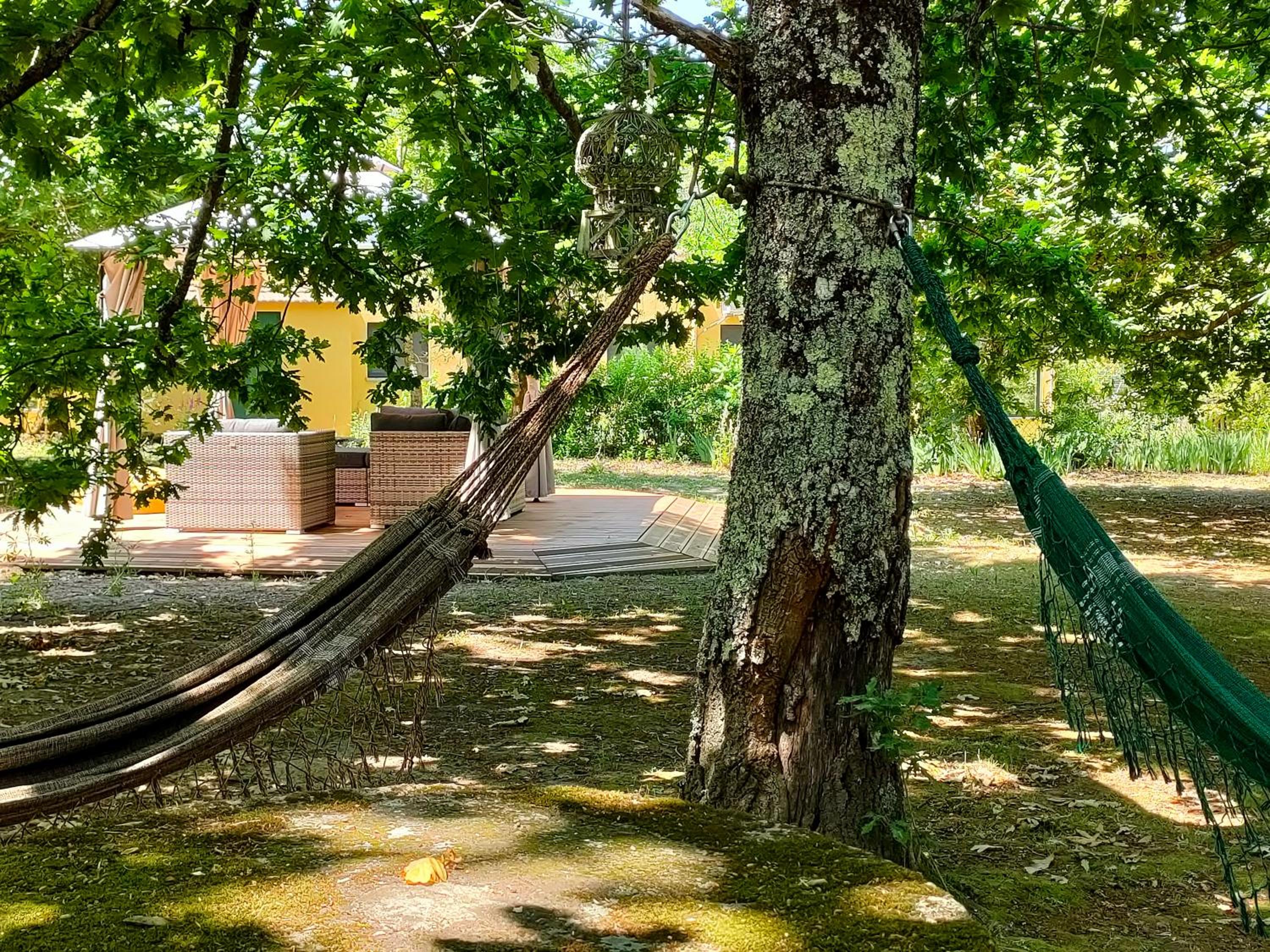 Casa Das Palmeiras-Pedagogic Farm