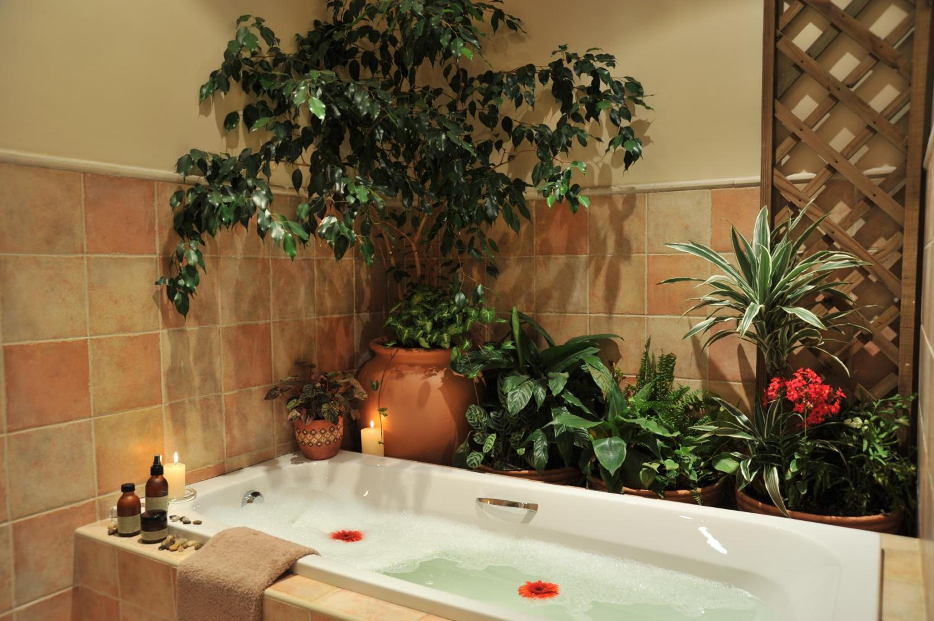 Claires of Sandton Luxury Guest House