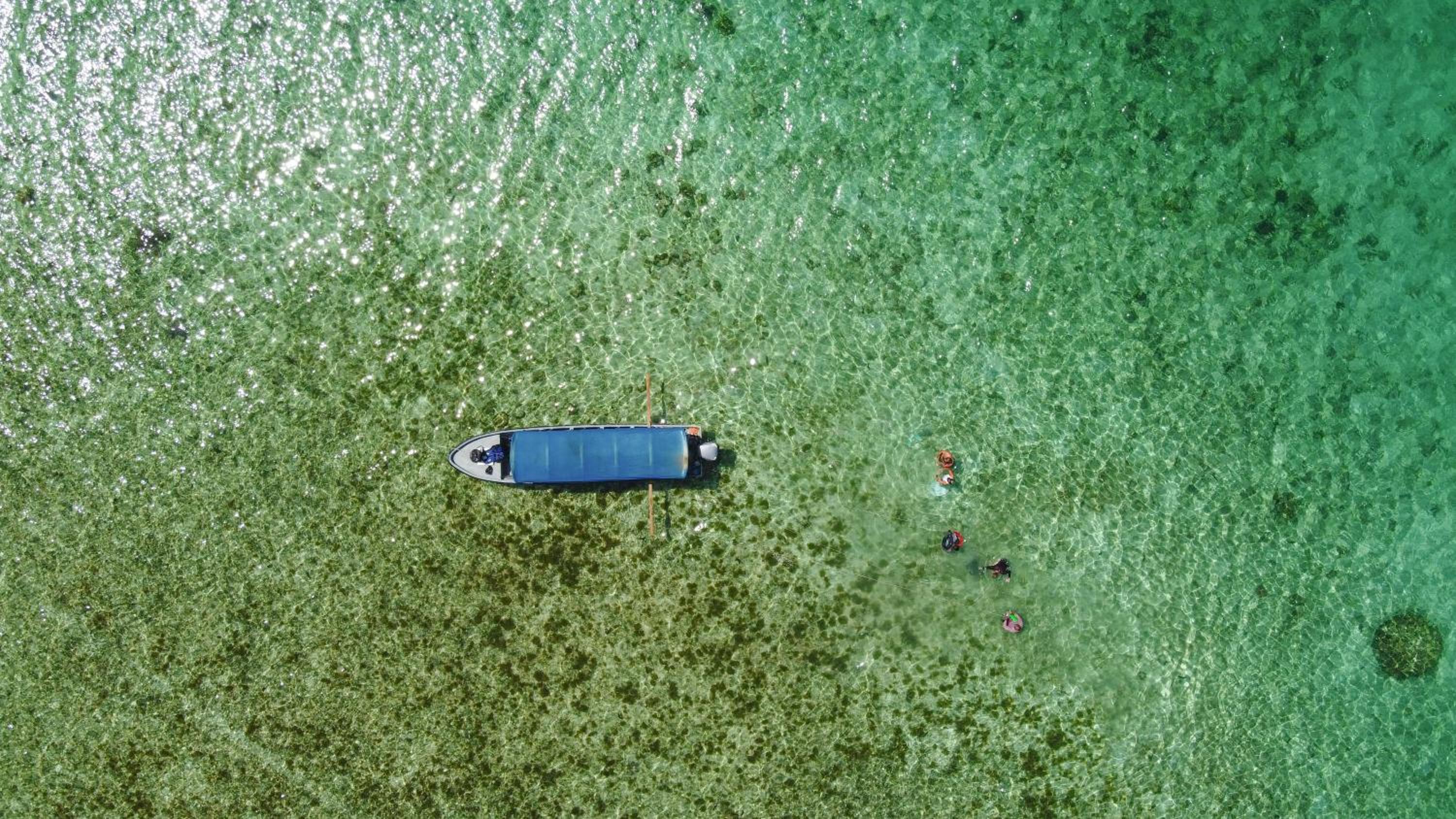 Eclypse de Mar Acqua Lodge