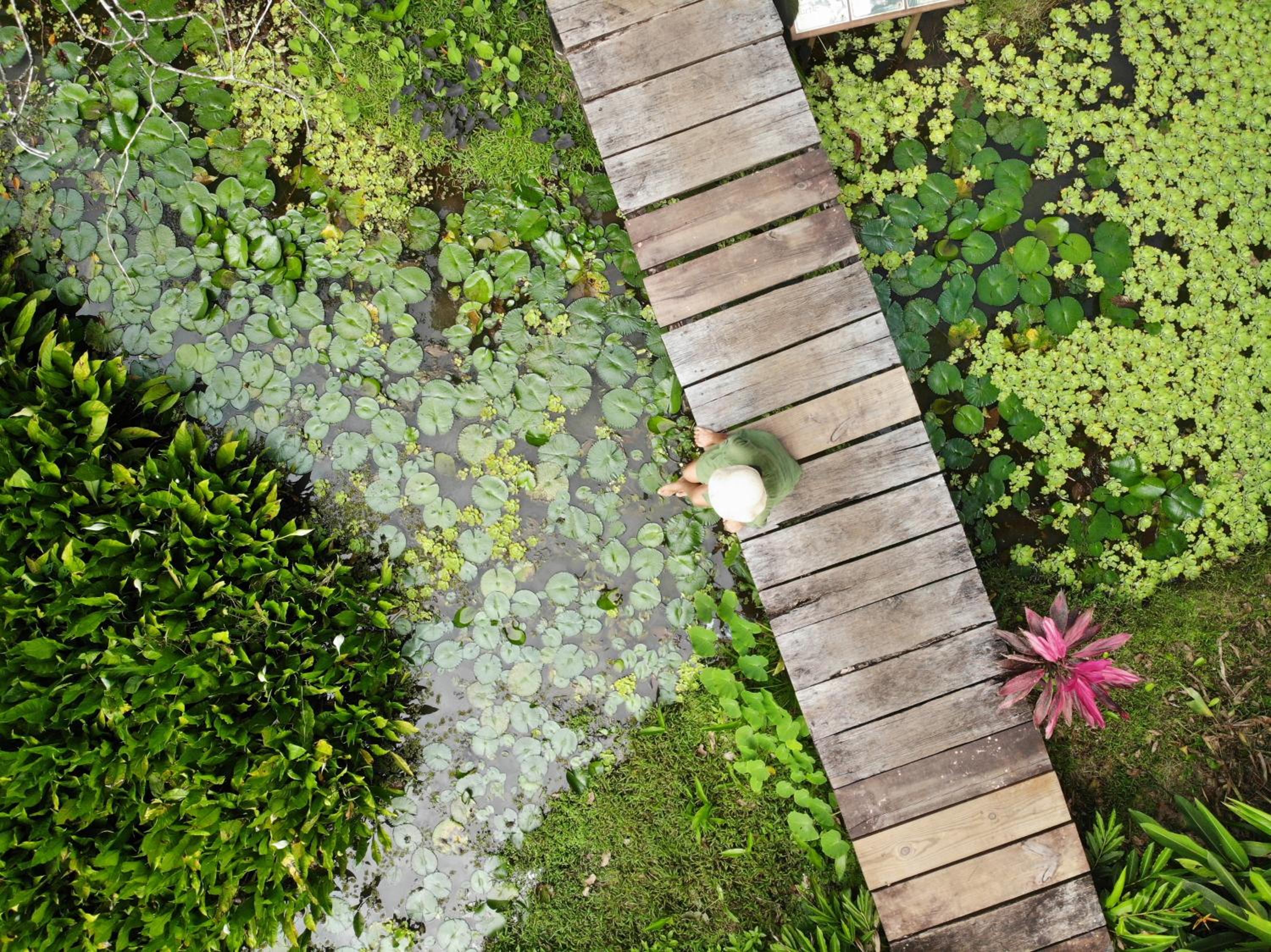 Eclypse de Mar Acqua Lodge