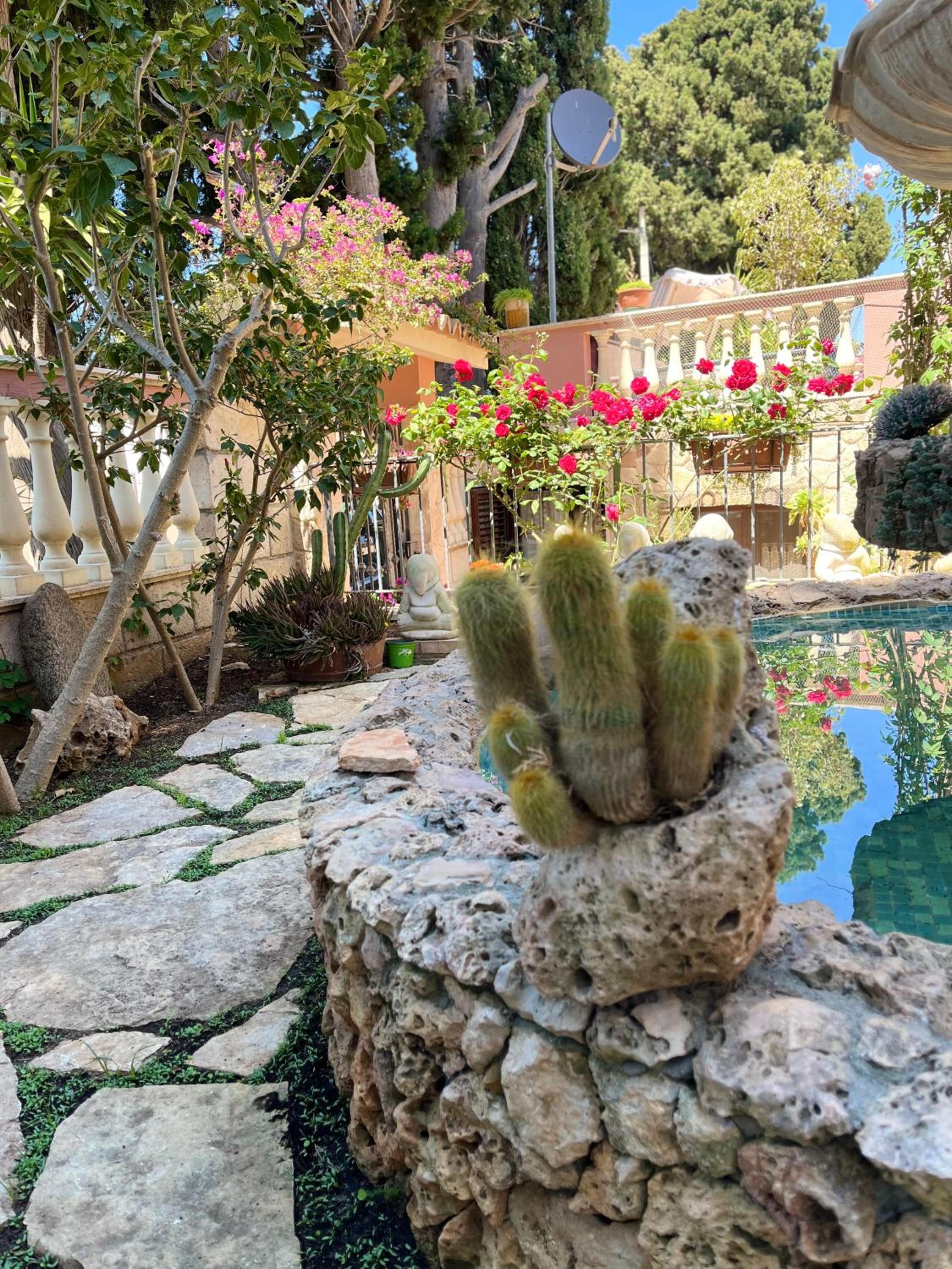 B&B Villa Regina photo 5