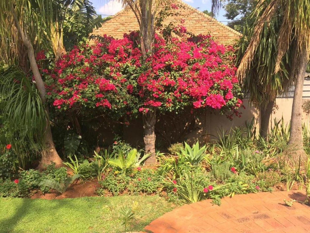 Meraki Upmarket Guesthouse view 3