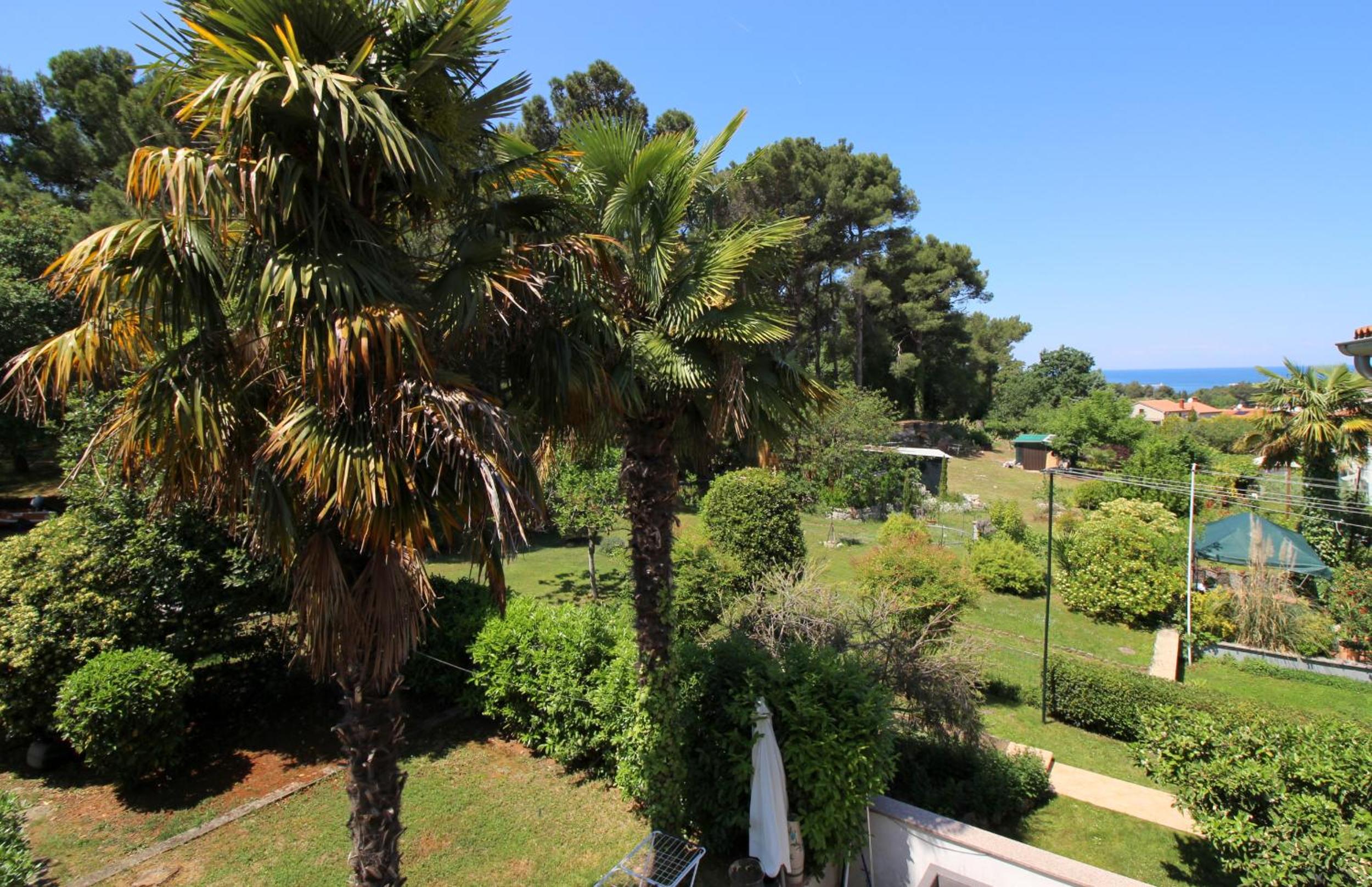 Apartments Andrea near beach view 2