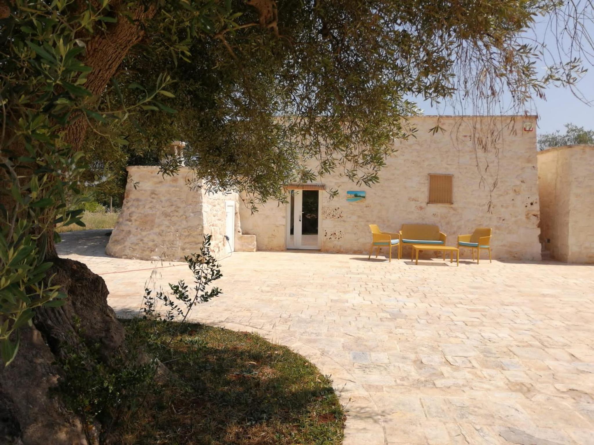 Photo 43