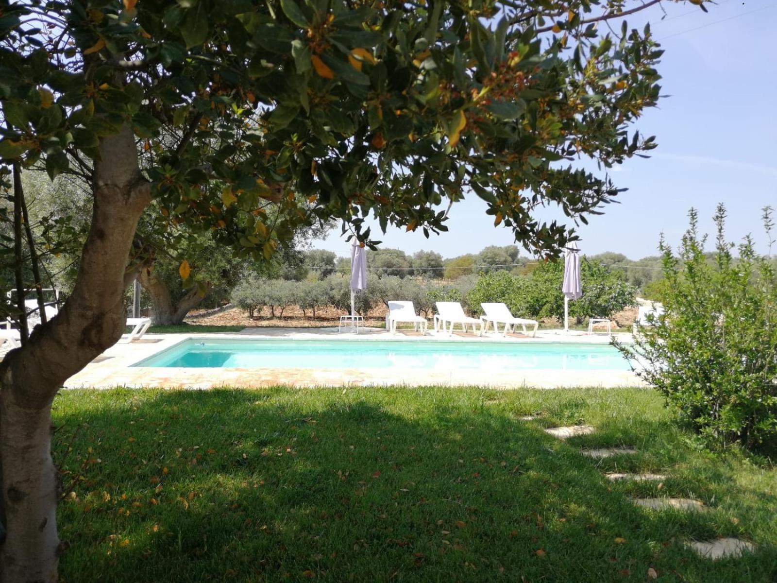 Photo 41