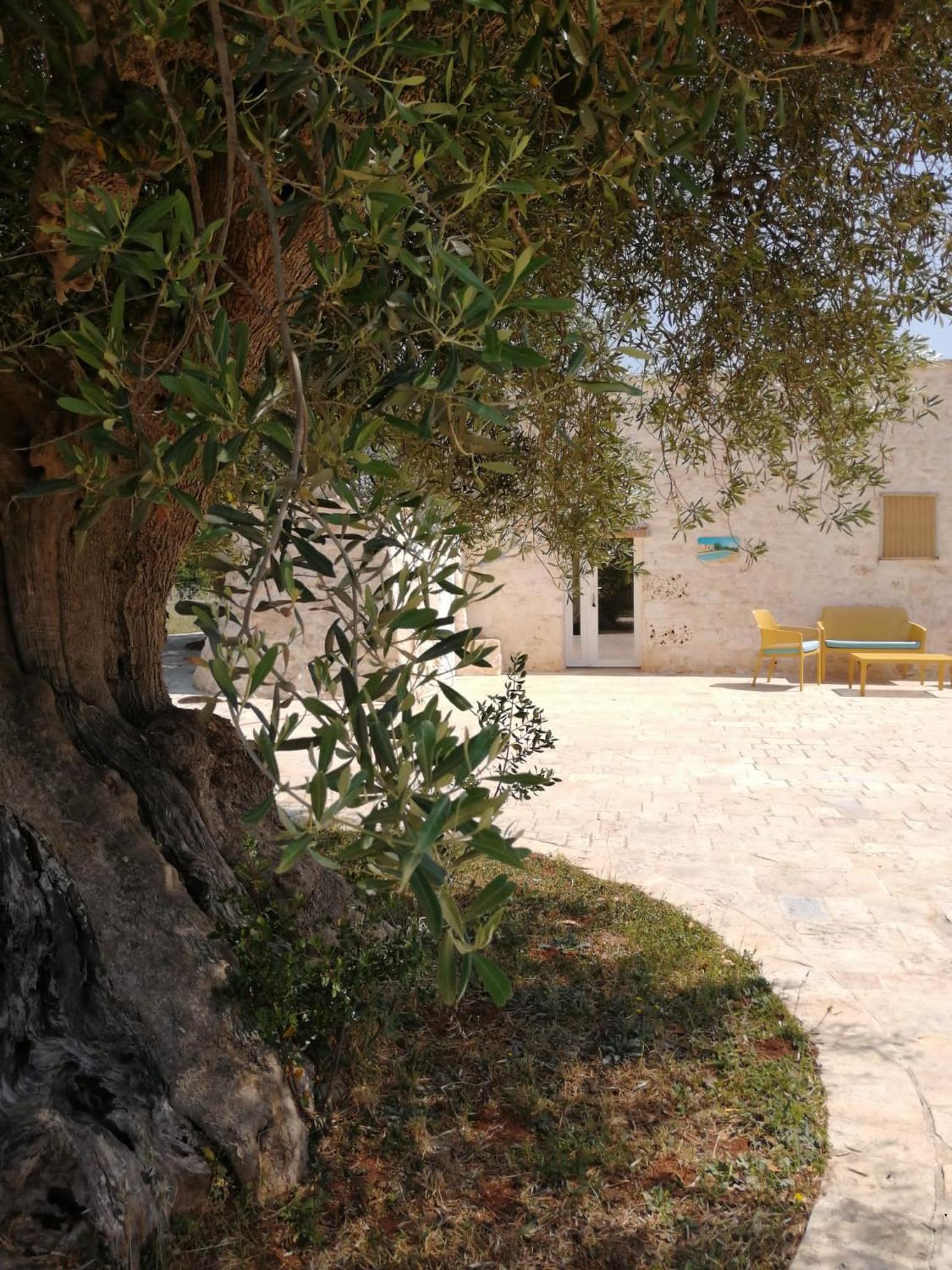 Photo 39