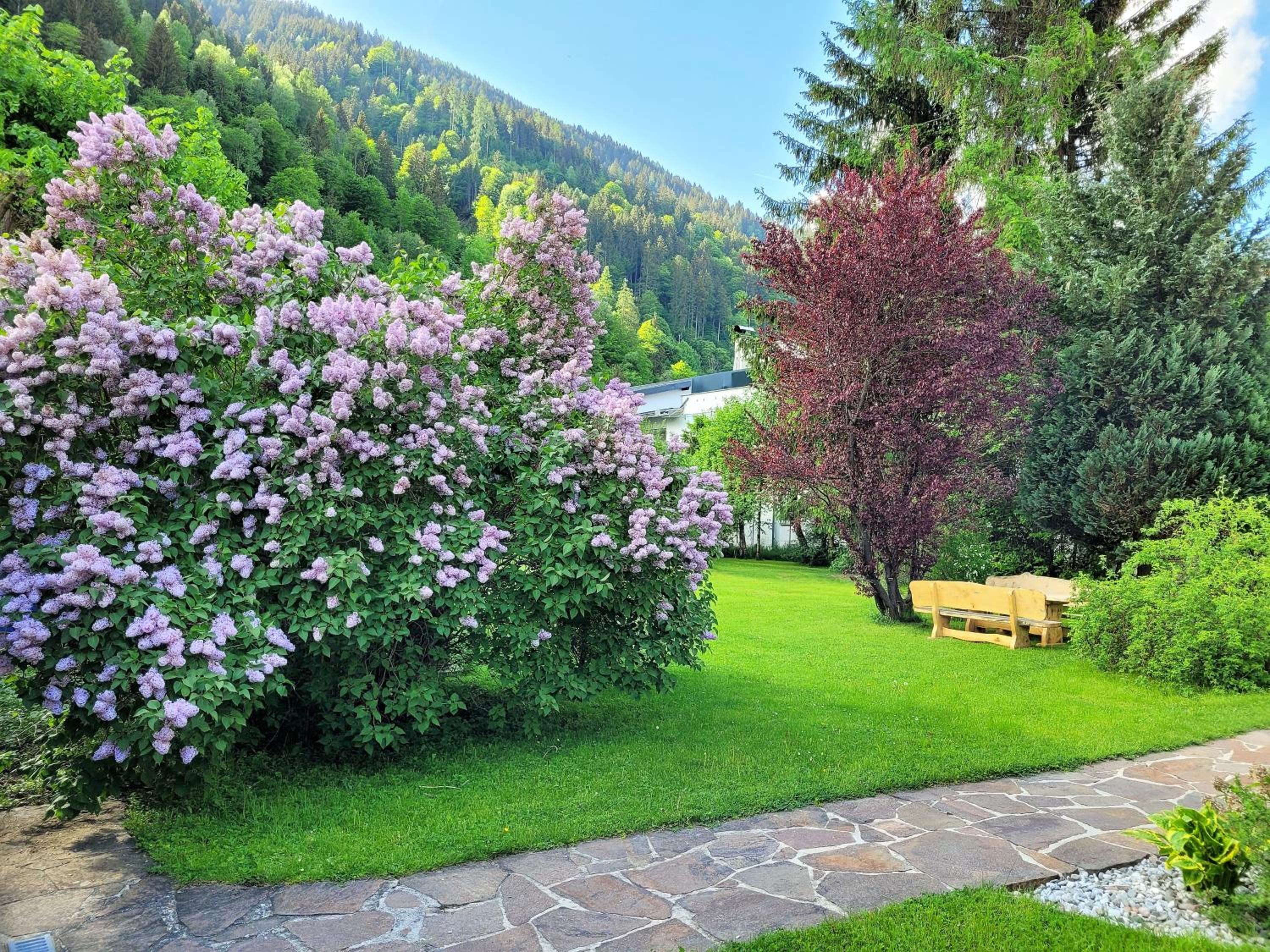 Panorama Apartments - Steinbock Lodges