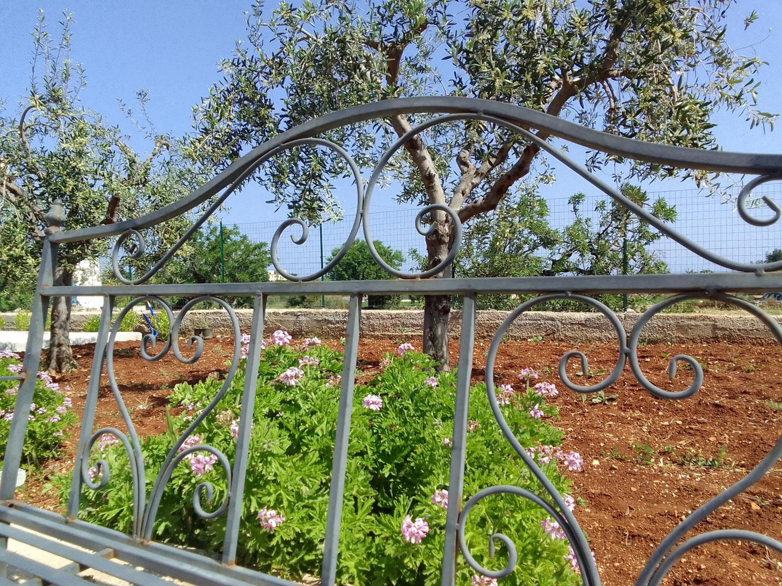 Villa Chirilú view 4