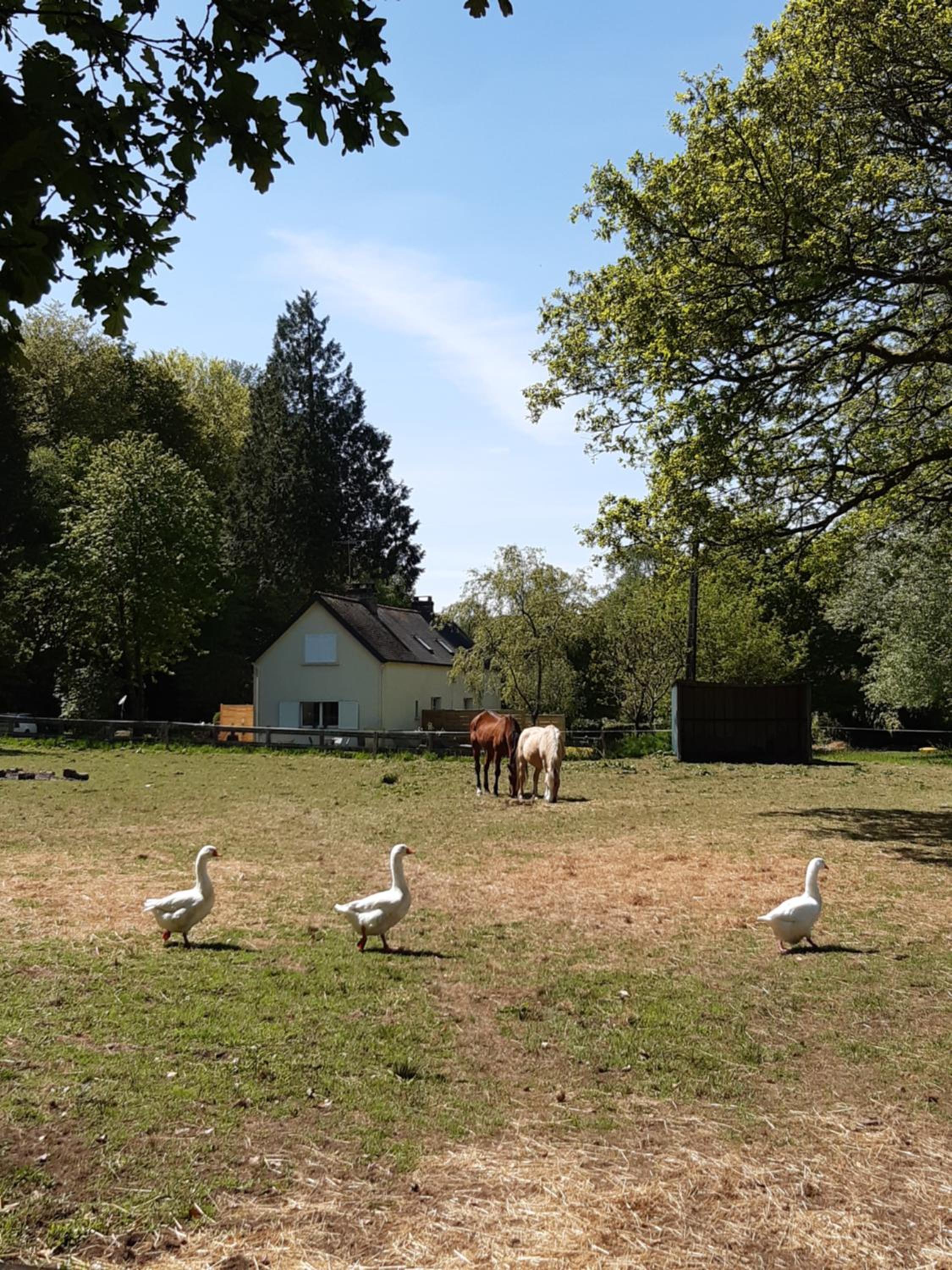 Photo 14