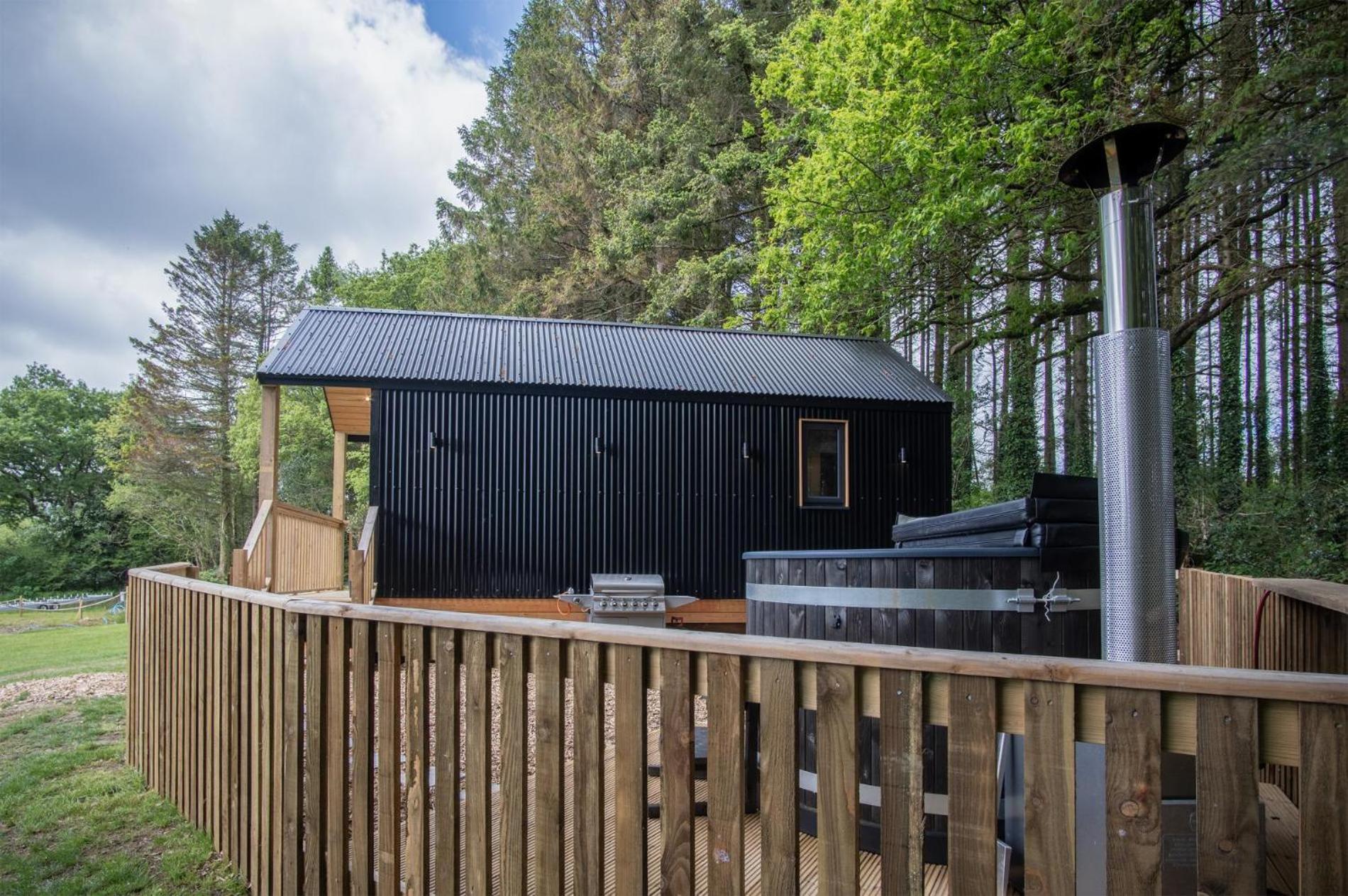 Cabin In The Woods - 1 Bedroom Lodge - Kilgetty view 4