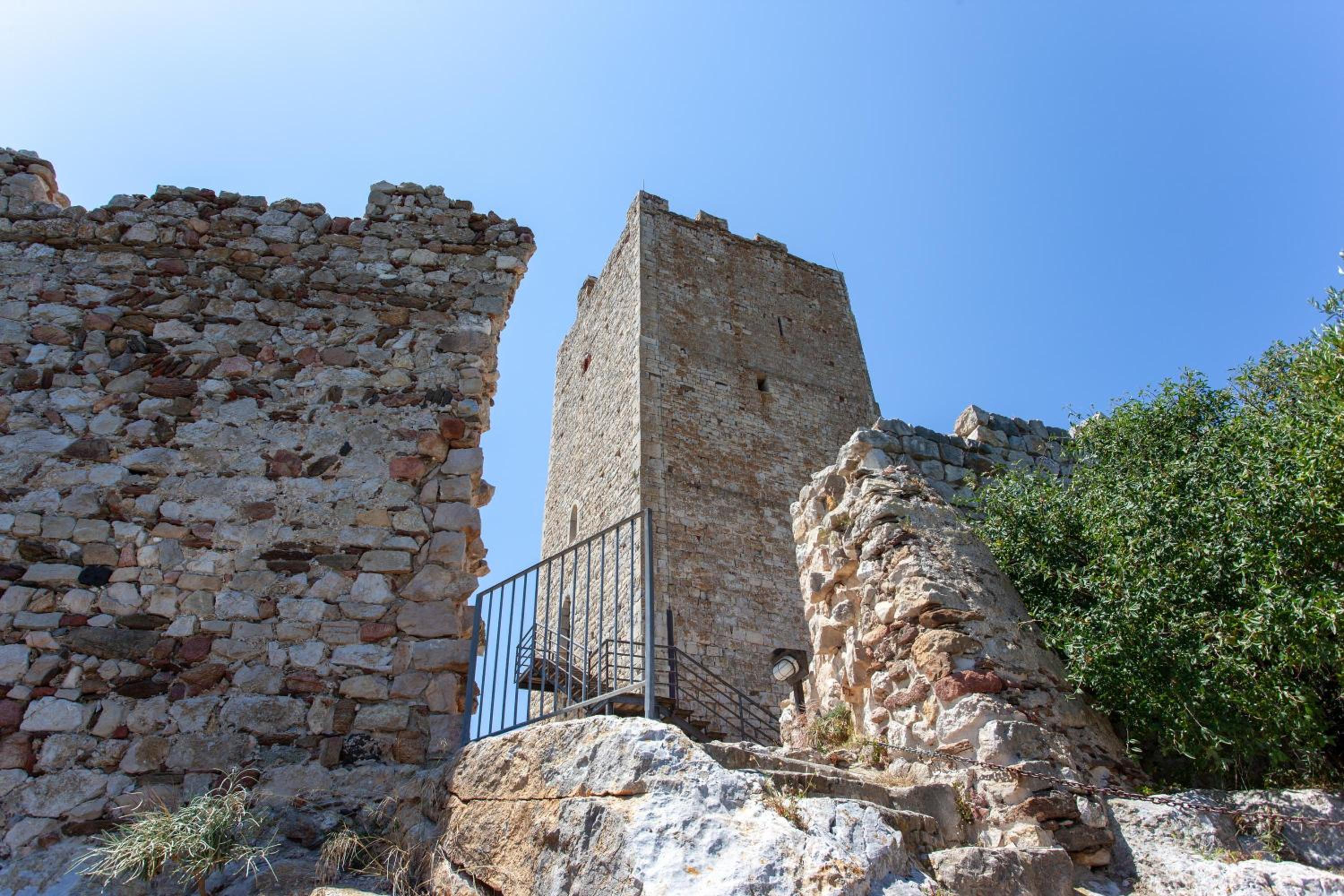 Suite Maya