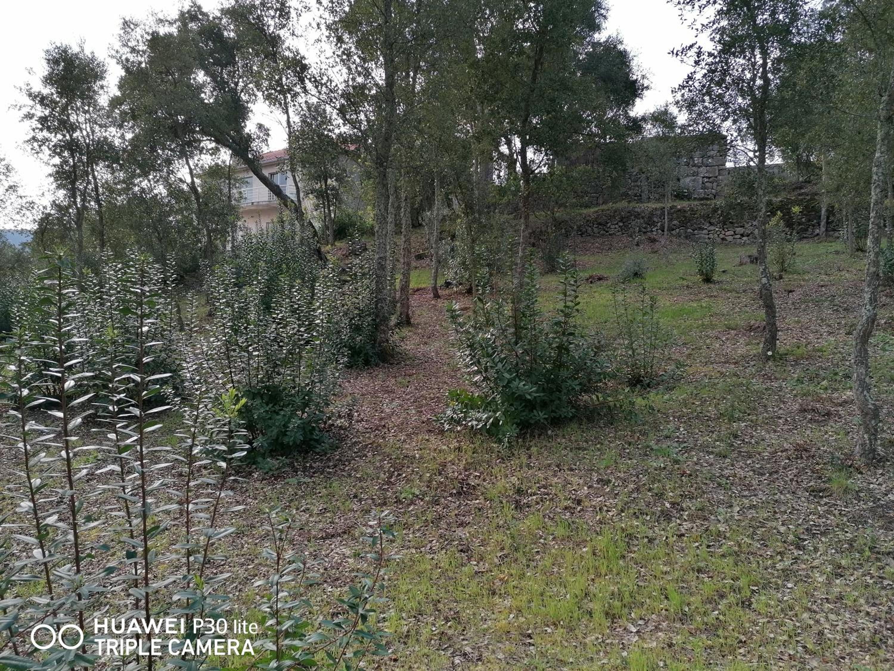 Photo 34