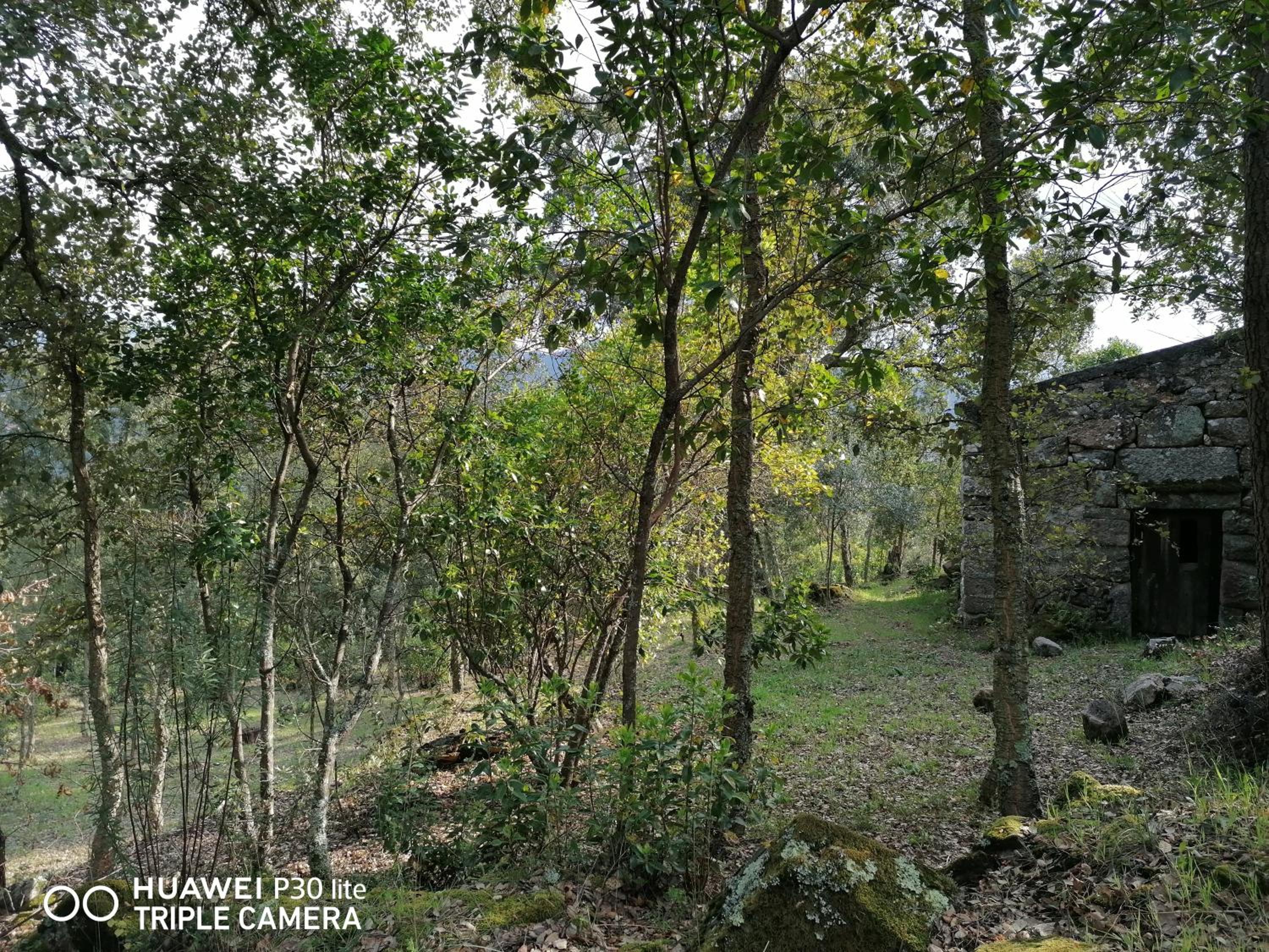 Photo 49
