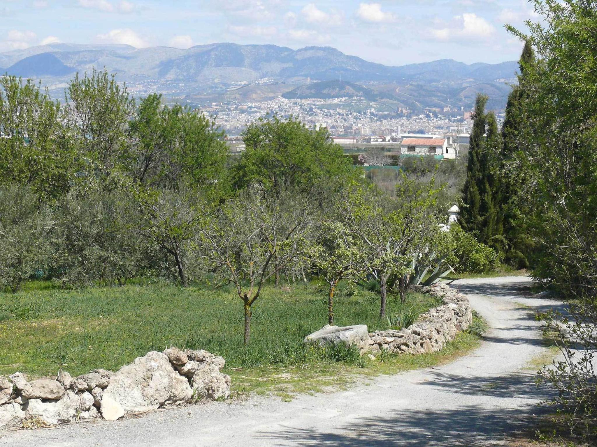 Photo 42