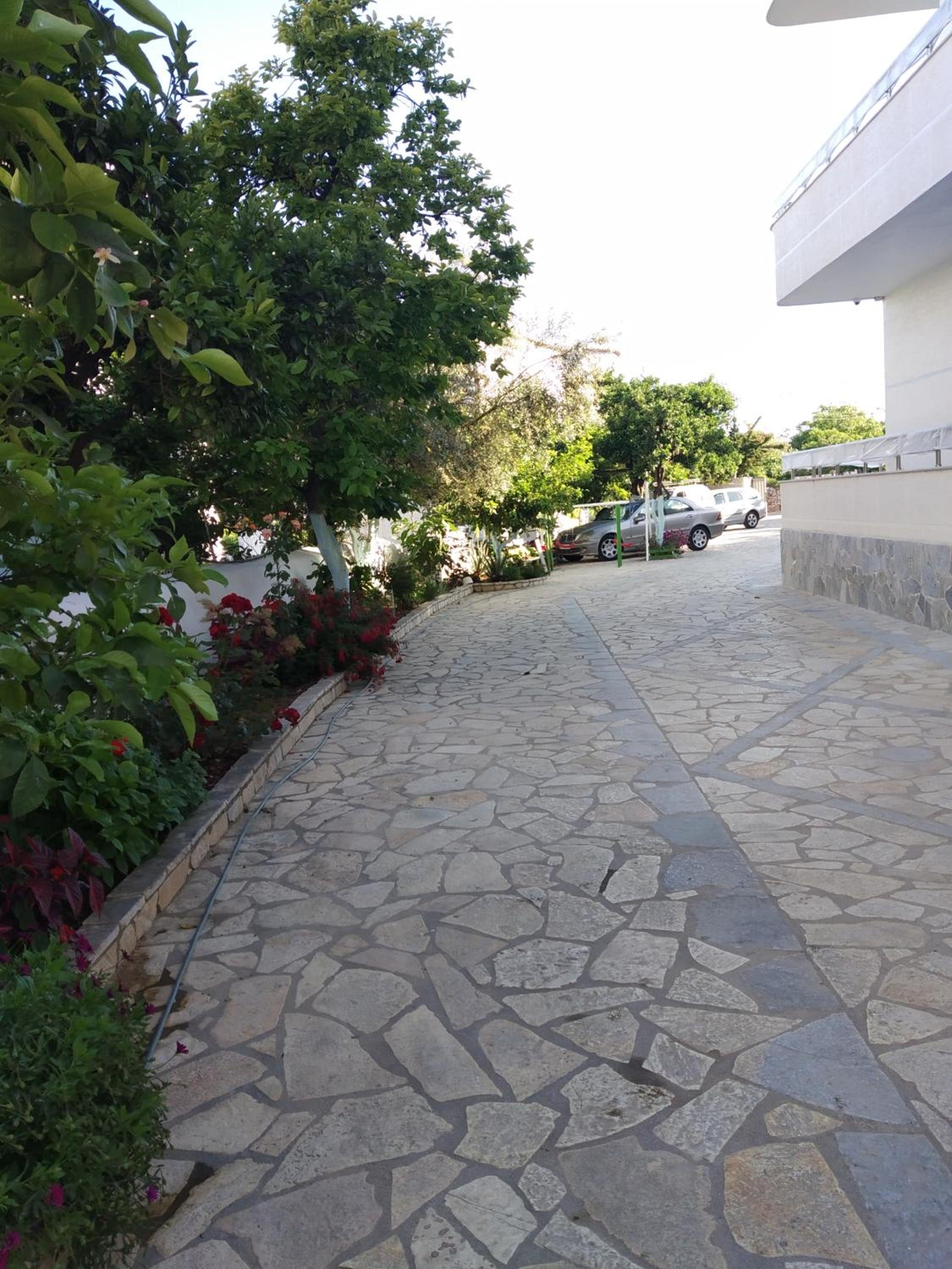Apartments Margarita