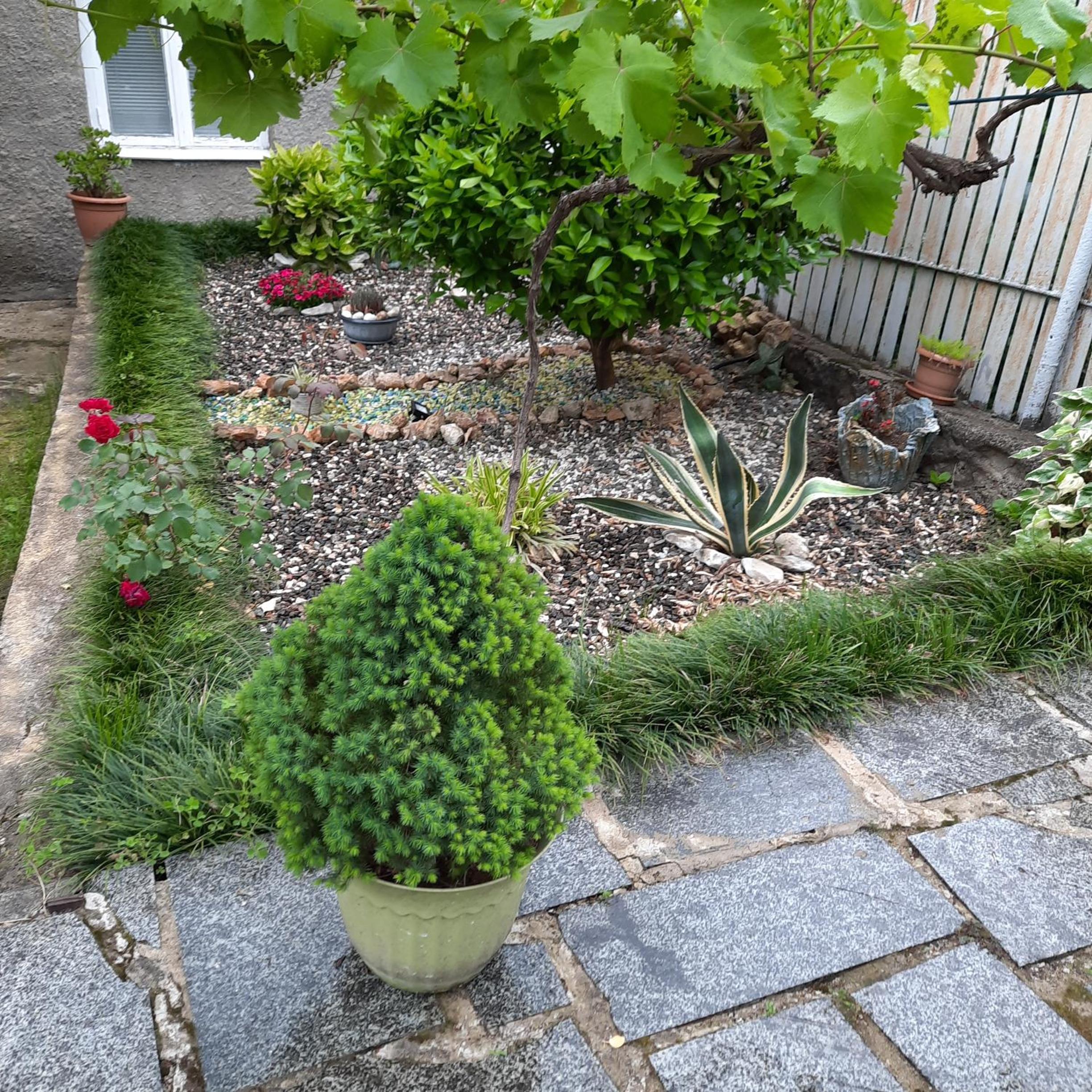 Photo 18