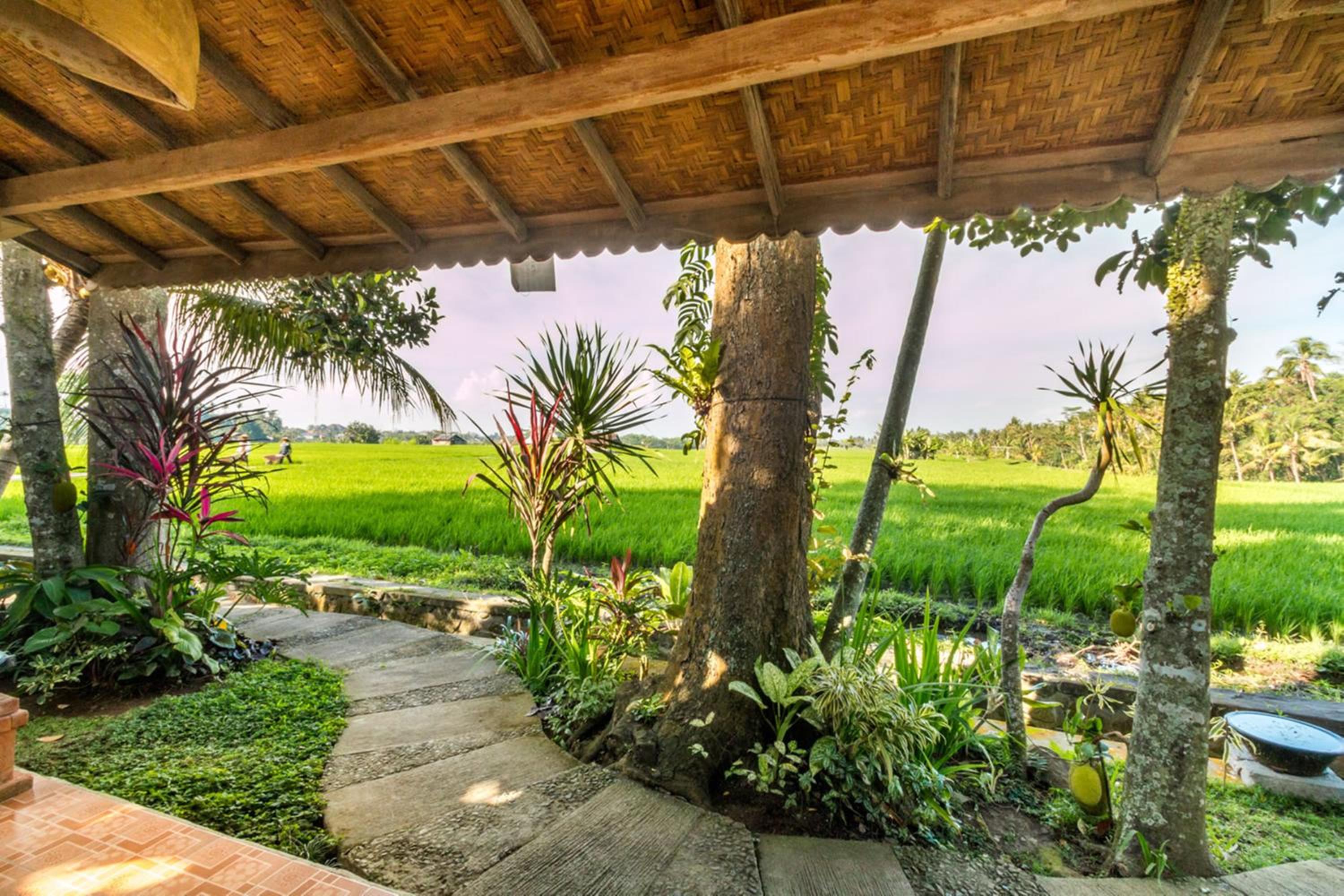 Umasari Rice Terrace Villa by AGATA view 2